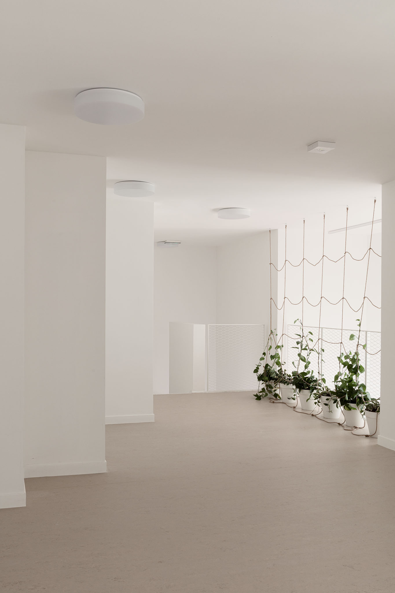 White corridor with recessed ceiling lights leading to a rope climbing installation with potted plants below