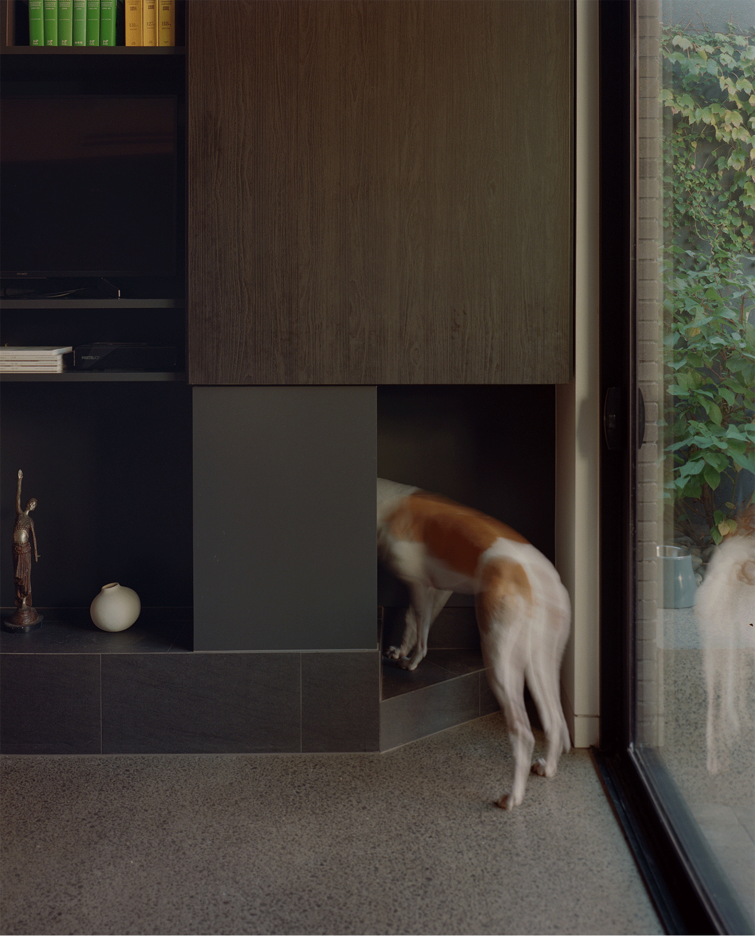 Dog passing through a low opening in the tiled media unit base with terrazzo flooring