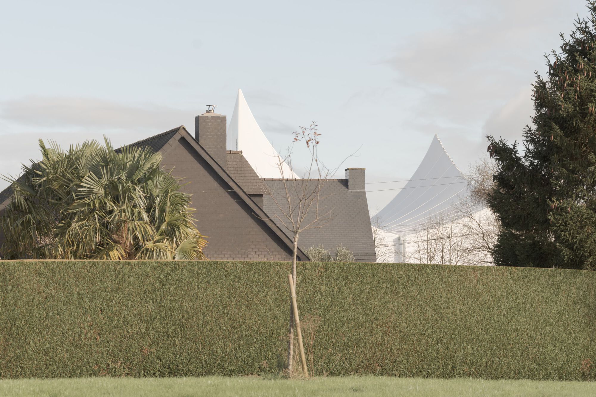 Distant view of the peaked white roof rising above residential hedges and a young tree