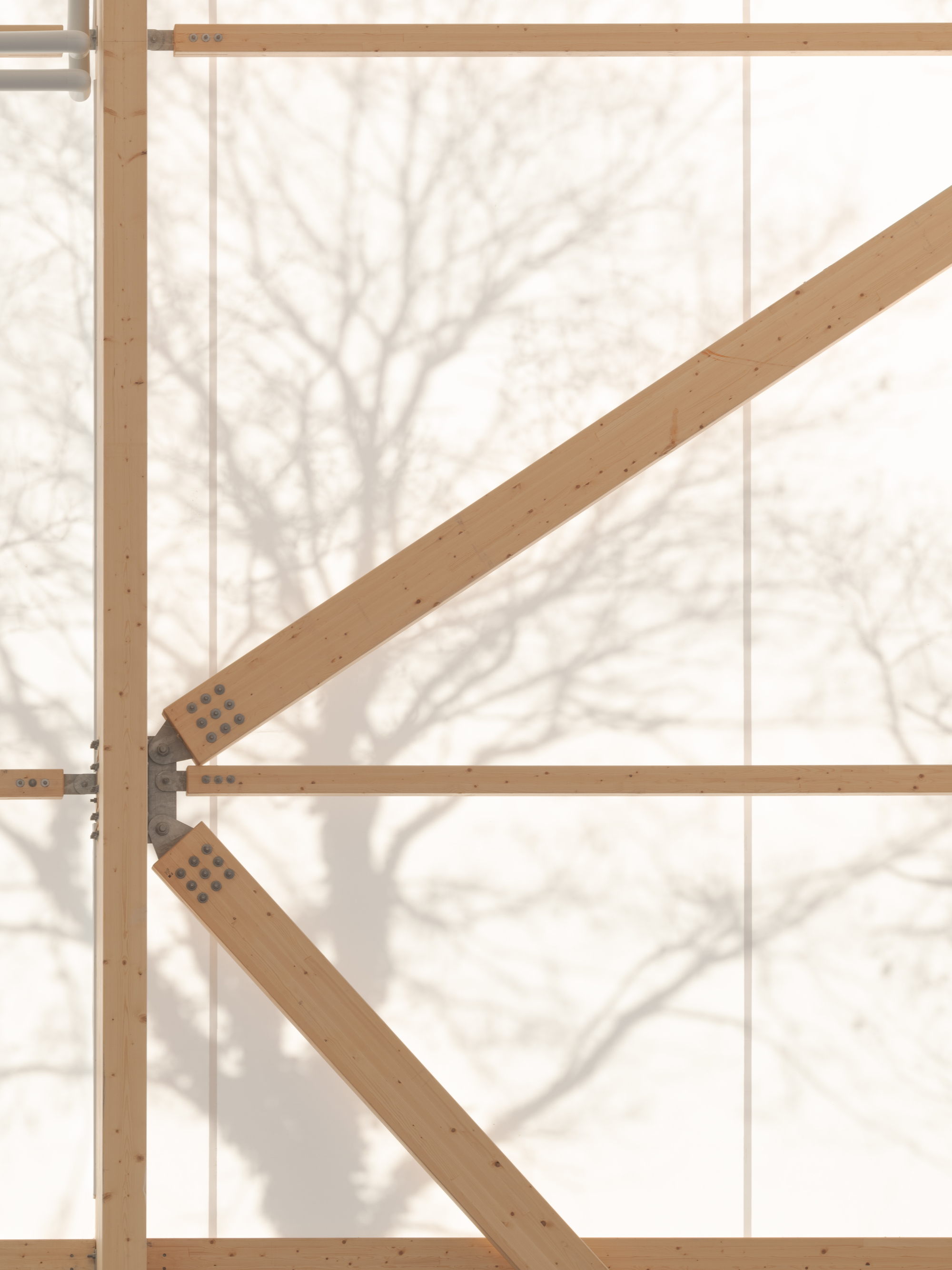 Timber diagonal brace with dowel connections against translucent glazing and bare branches