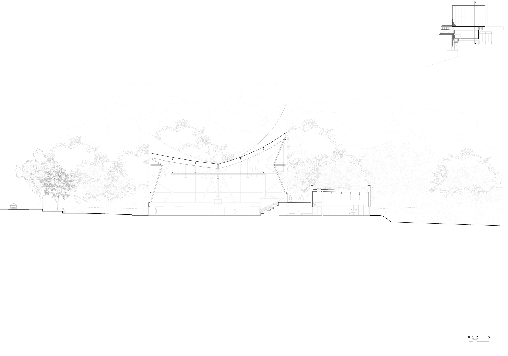 Section drawing showing the draped roof form with structural details amid surrounding tree canopies
