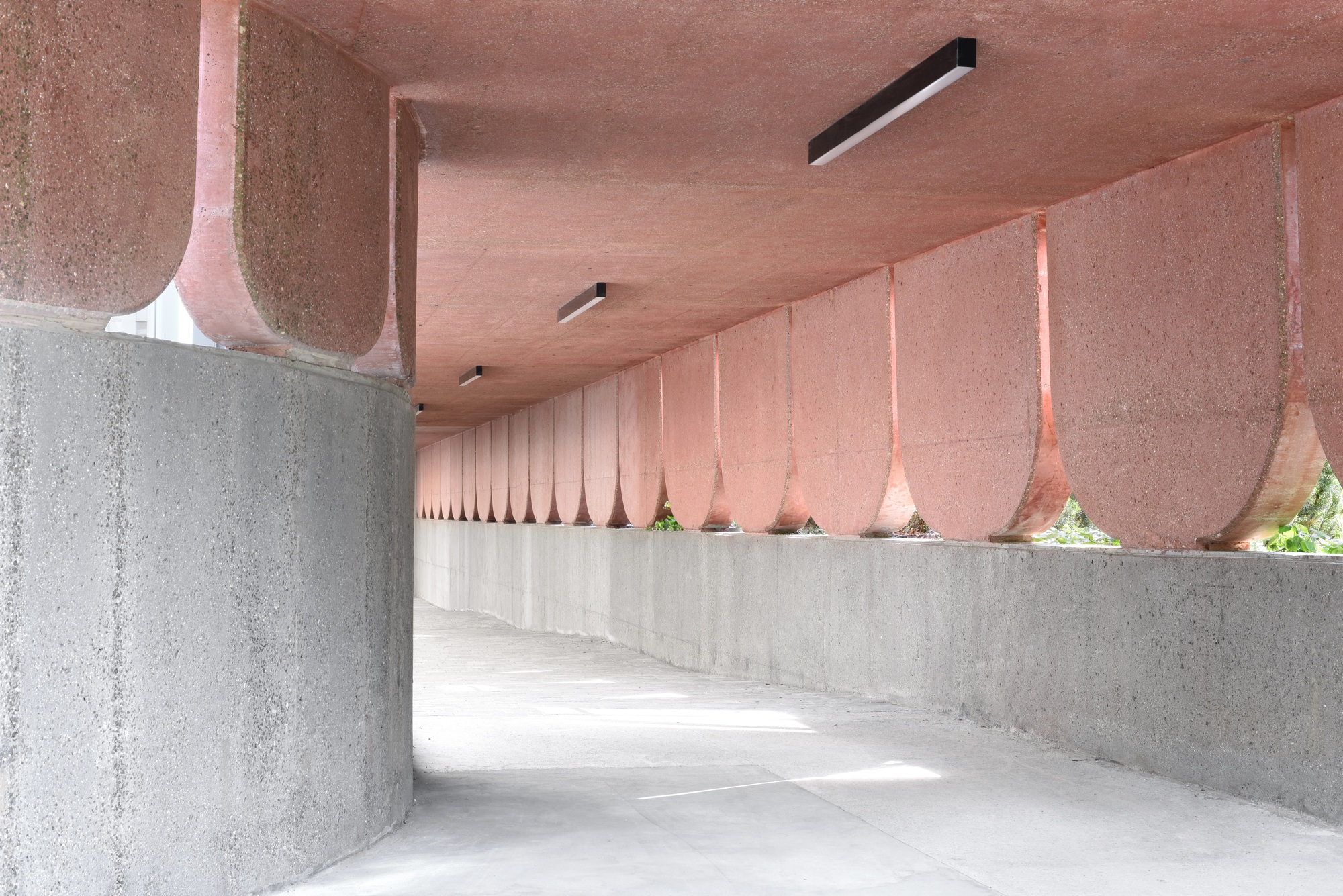 Covered walkway with pink scalloped ceiling and gray concrete benches allowing glimpses of greenery