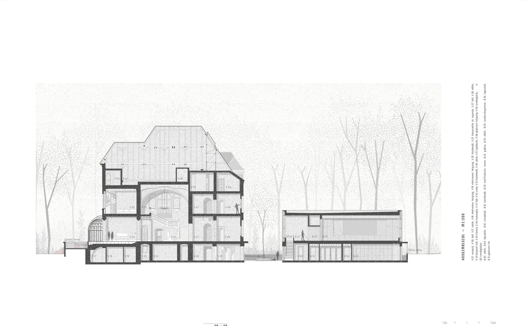 Section drawing showing two connected volumes with pitched roofs among bare winter trees