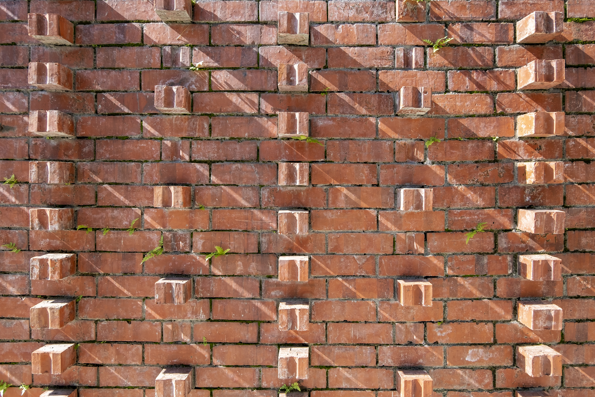 Close-up of brick wall with protruding header bricks and small plants growing in the joints