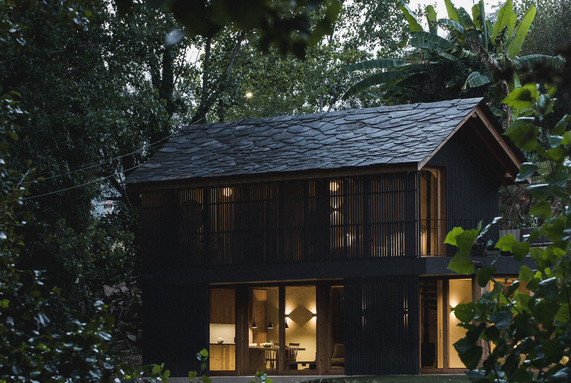Dark timber slat facade with illuminated glazed openings at dusk surrounded by dense foliage and banana plants
