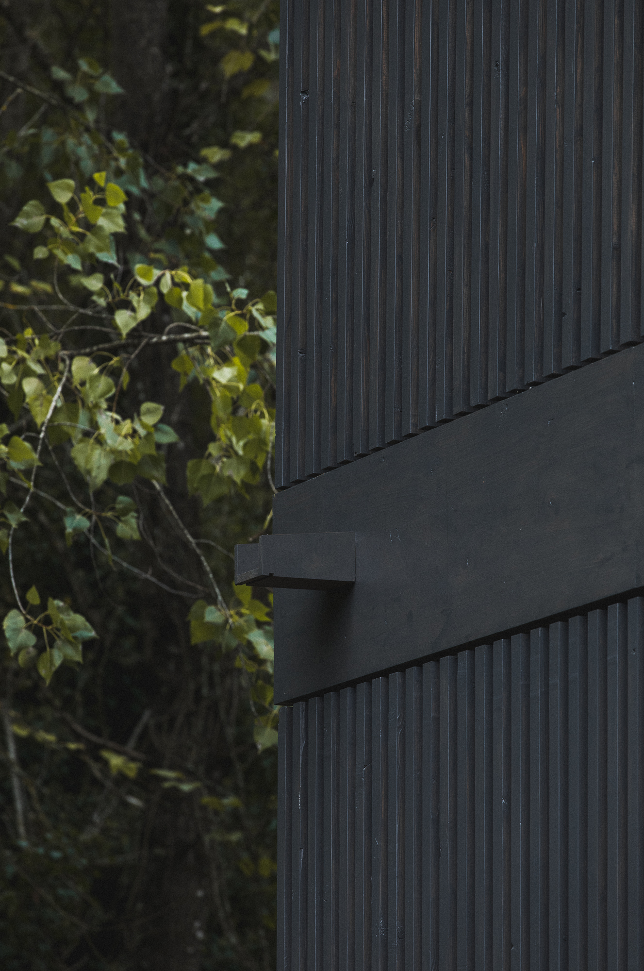 Dark corrugated metal siding with horizontal band detail against leafy green foliage