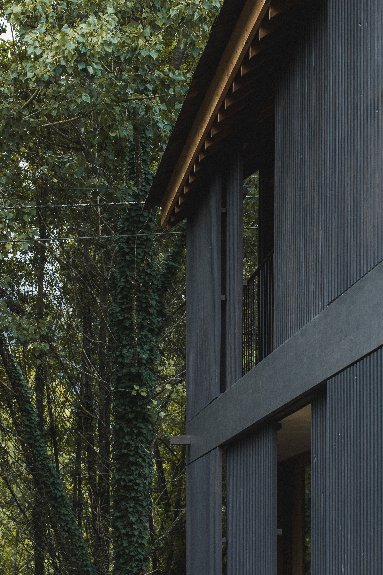Two-story facade with vertical corrugated cladding and exposed timber roof eaves beside trees