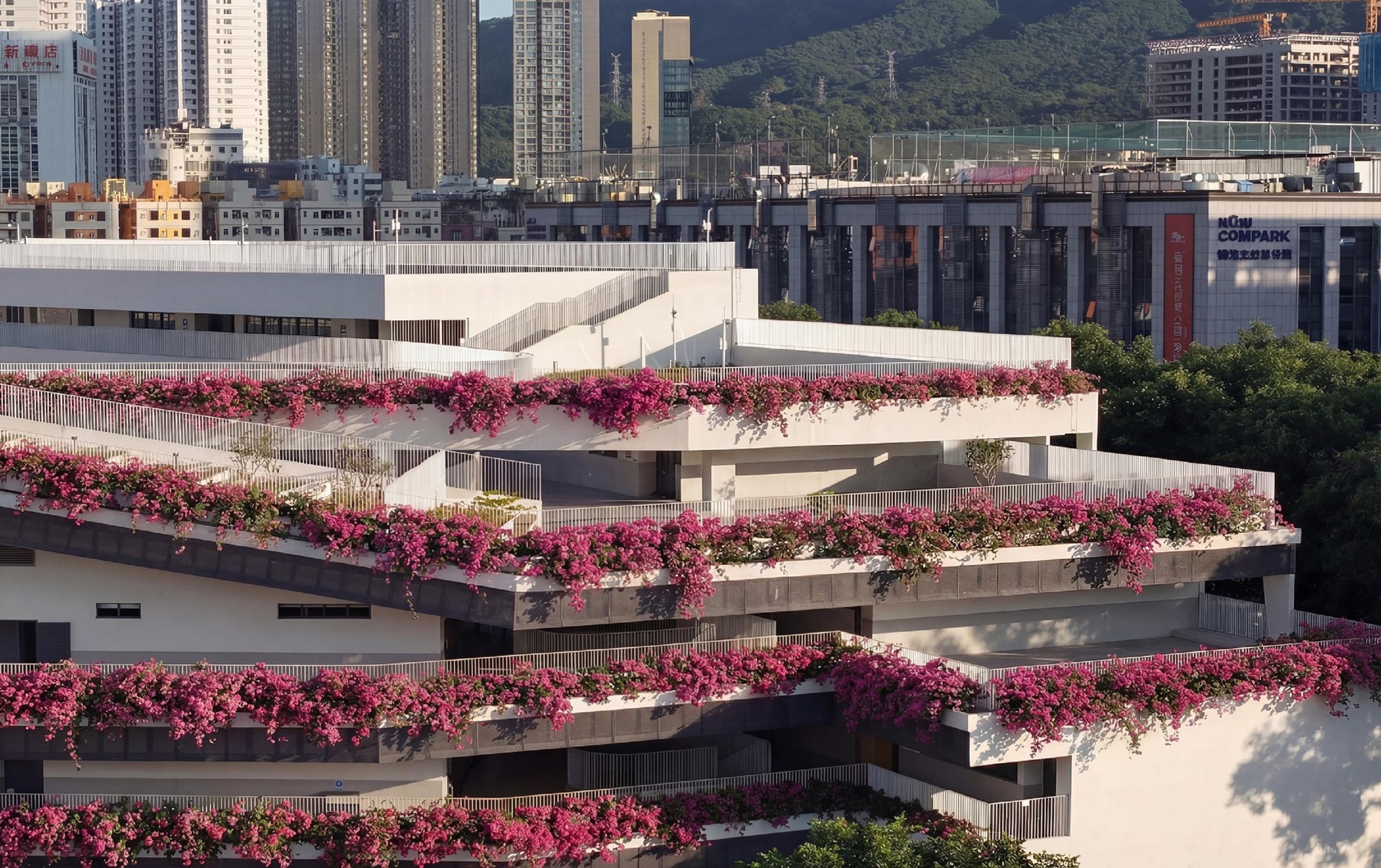 Staggered concrete balconies draped with pink bougainvillea against distant hillside and industrial buildings