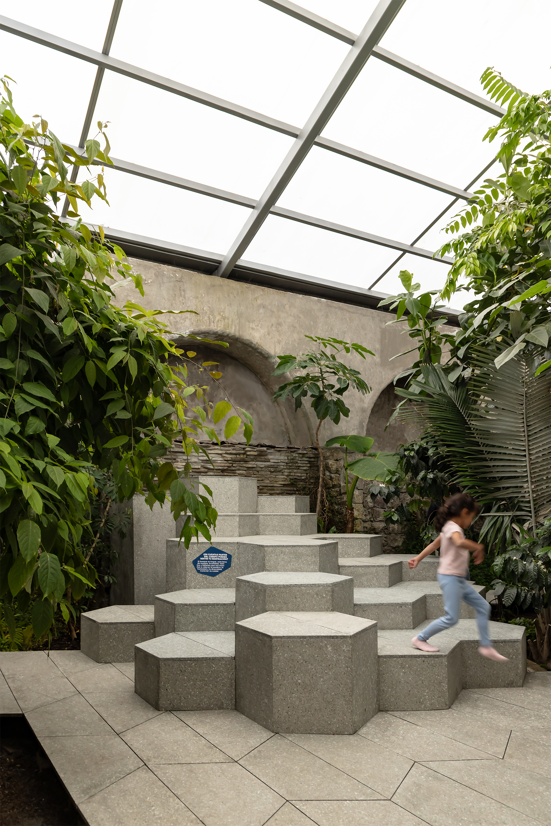 Hexagonal concrete block staircase beneath a glazed skylight surrounded by green plants and a child climbing