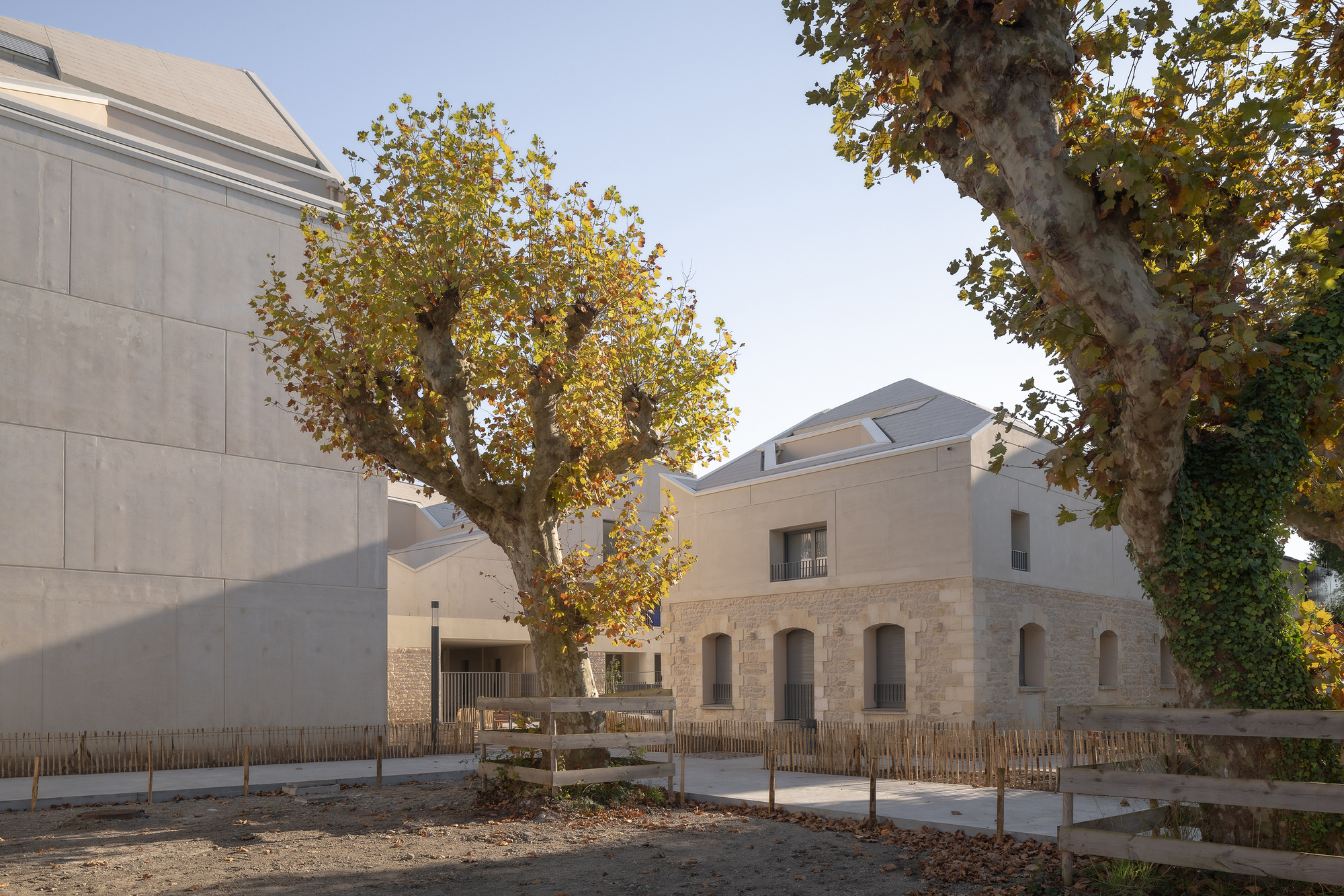 Courtyard plaza with young trees in autumn foliage framed by stone and rendered volumes