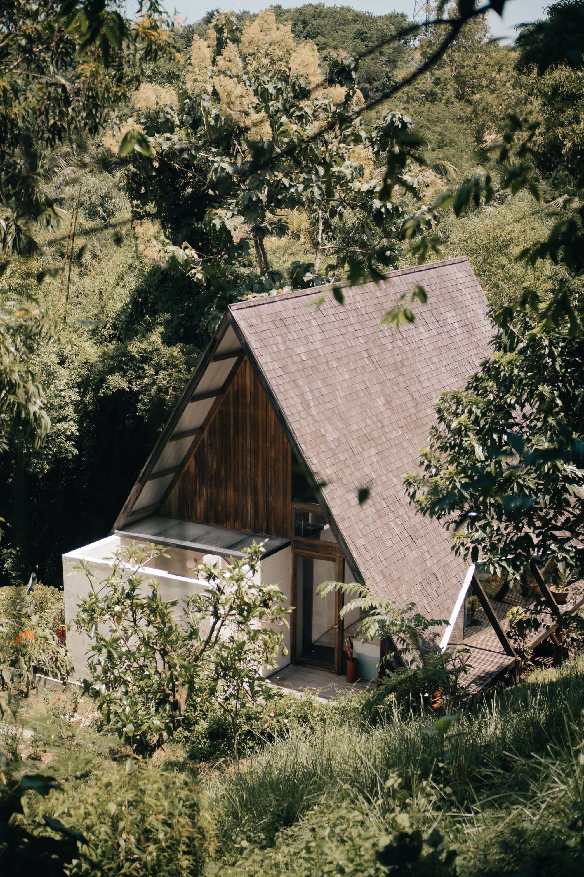 Elevated view of the steep tile roof and timber gable end surrounded by trees