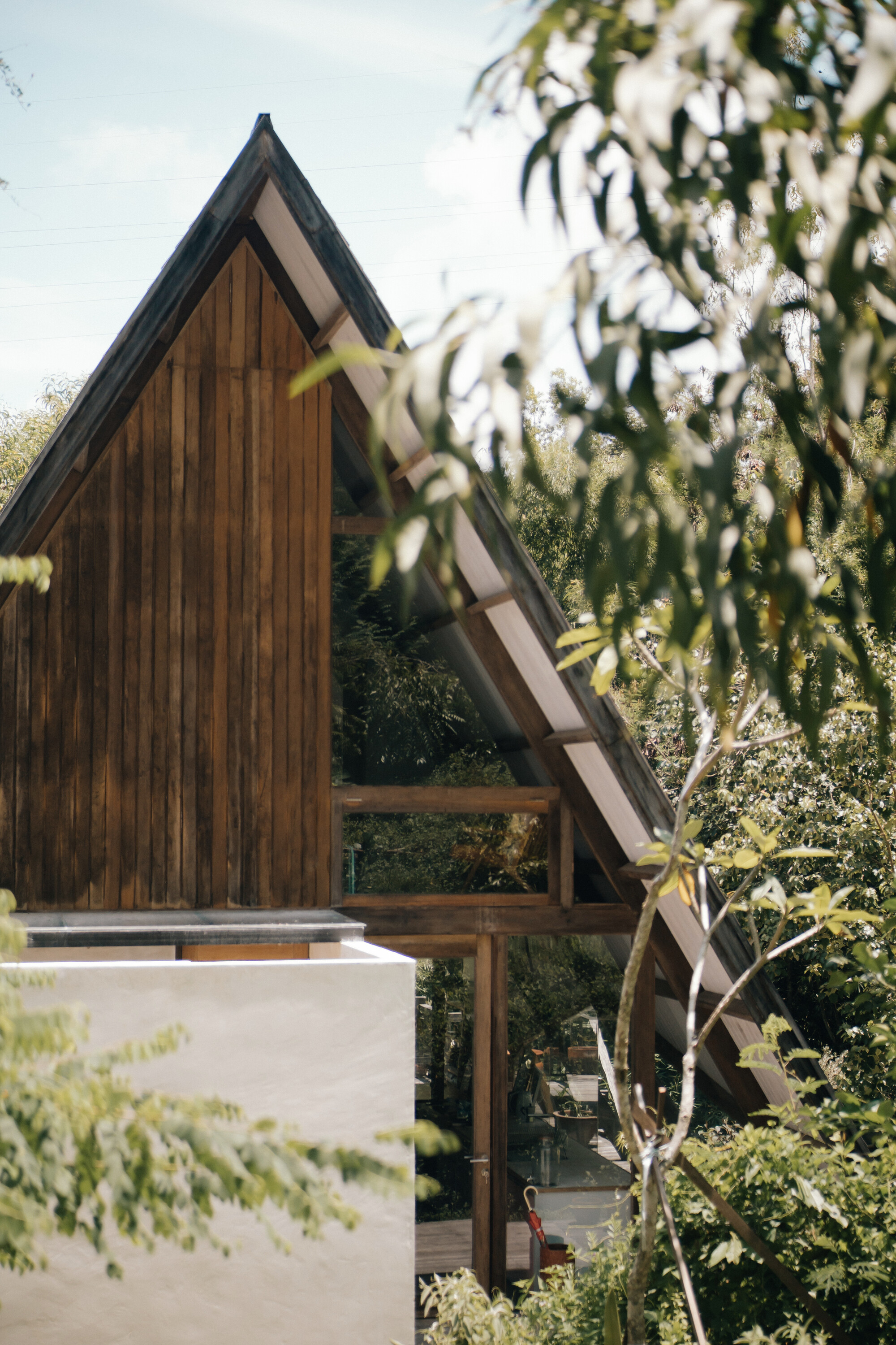 Steep pitched roof structure with vertical timber cladding and white rendered base wall framed by foliage