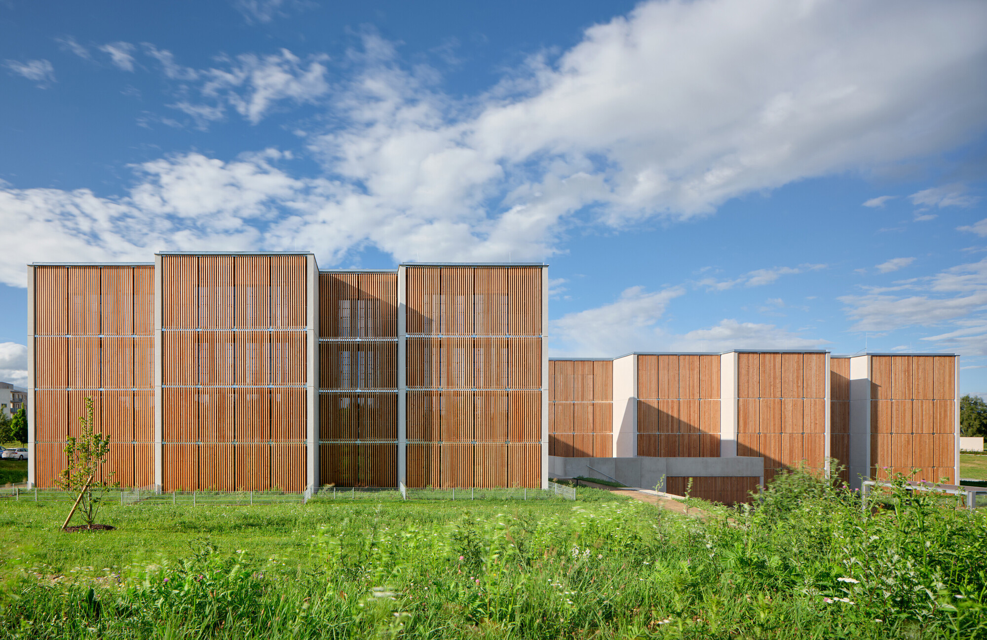 Side elevation revealing timber screening panels, white concrete volumes and an exposed exterior staircase under blue sky