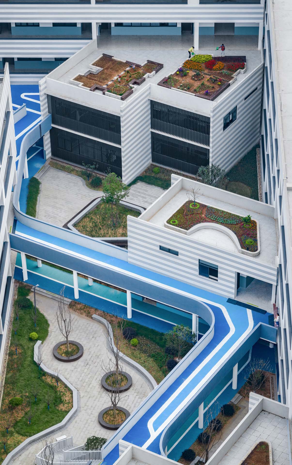 Aerial view of curved running tracks with planted roof terraces and paved courtyards below