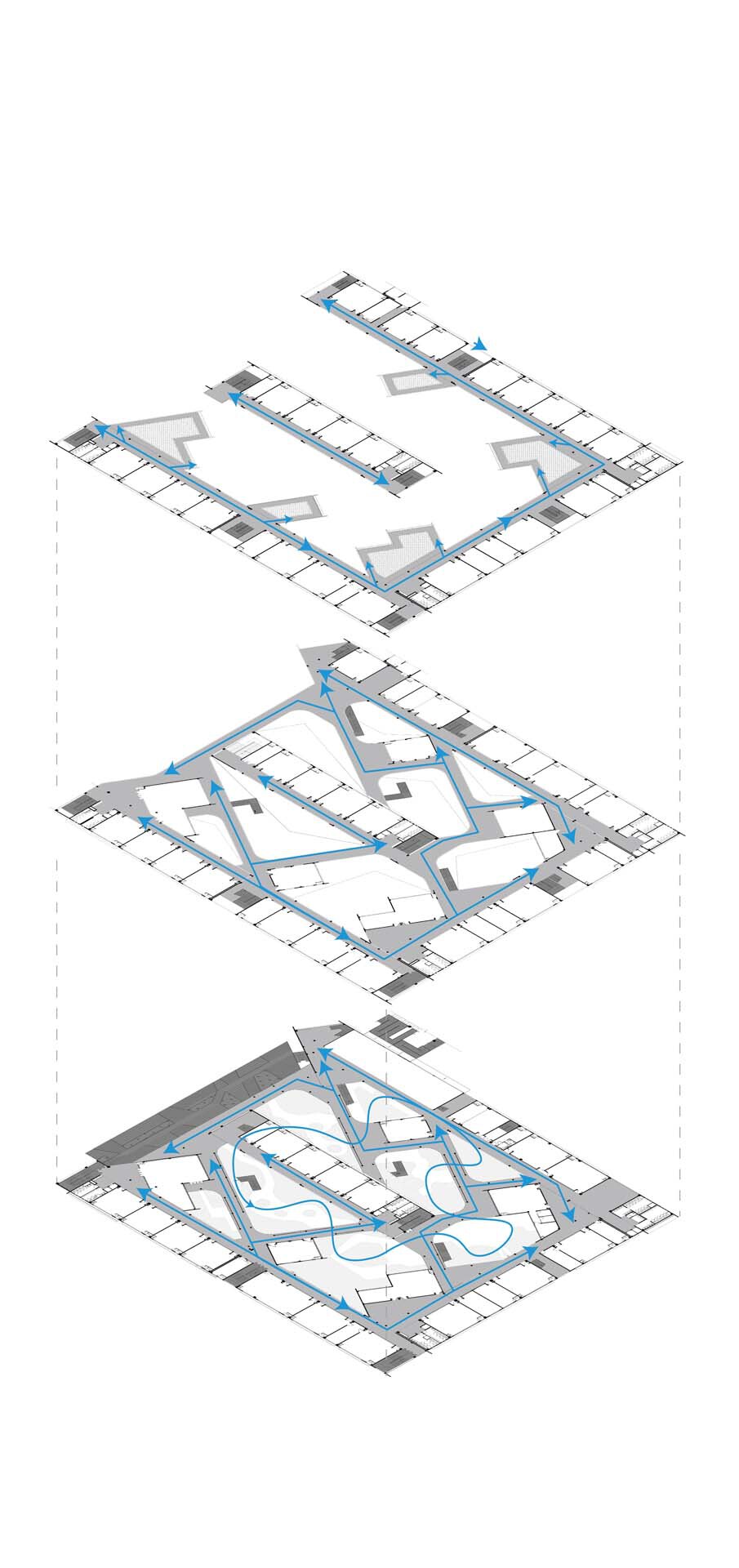 Axonometric drawing showing three stacked floor plates with blue circulation paths threading through each level