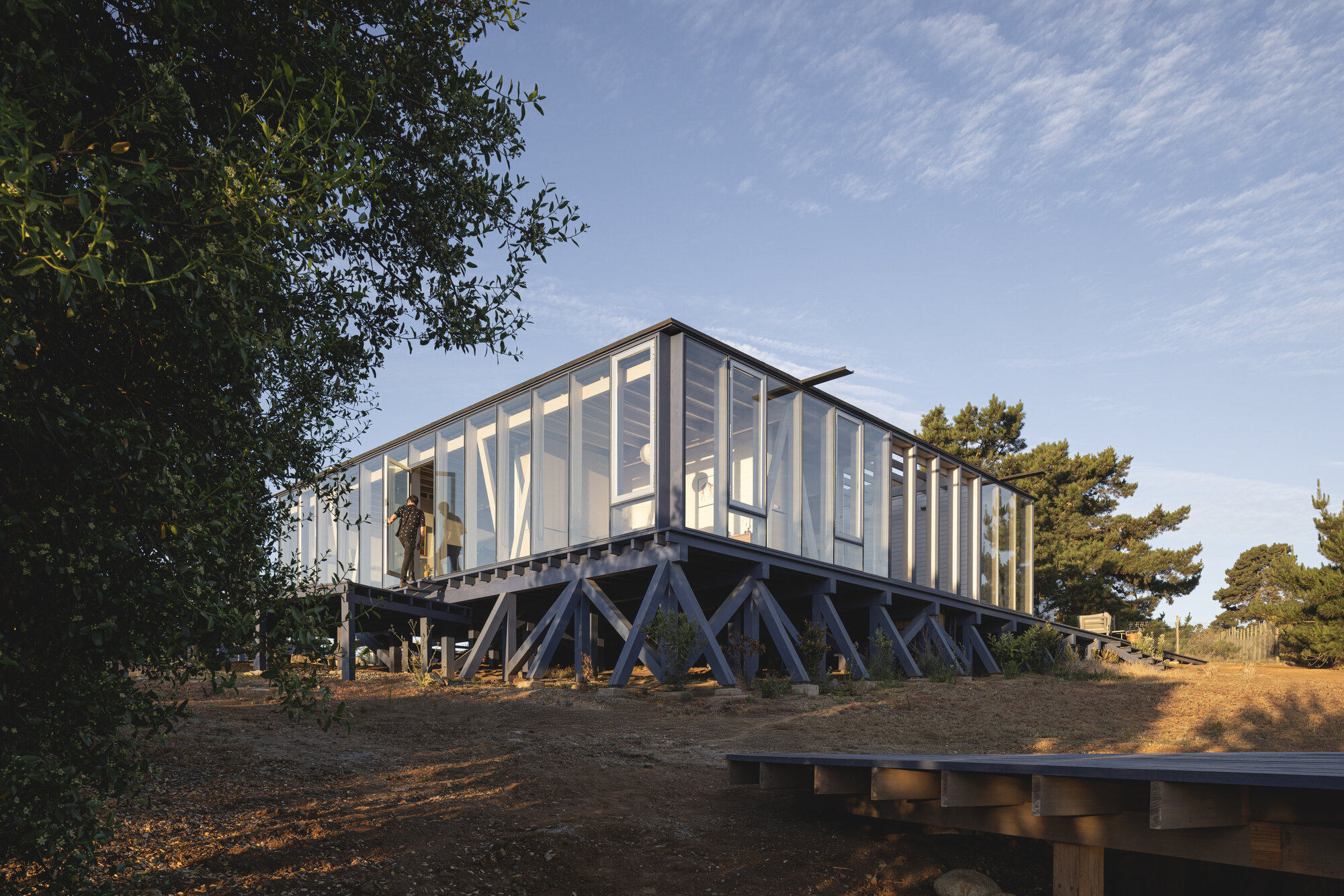 Elevated glass pavilion on diagonal steel bracing framed by mature trees in afternoon light