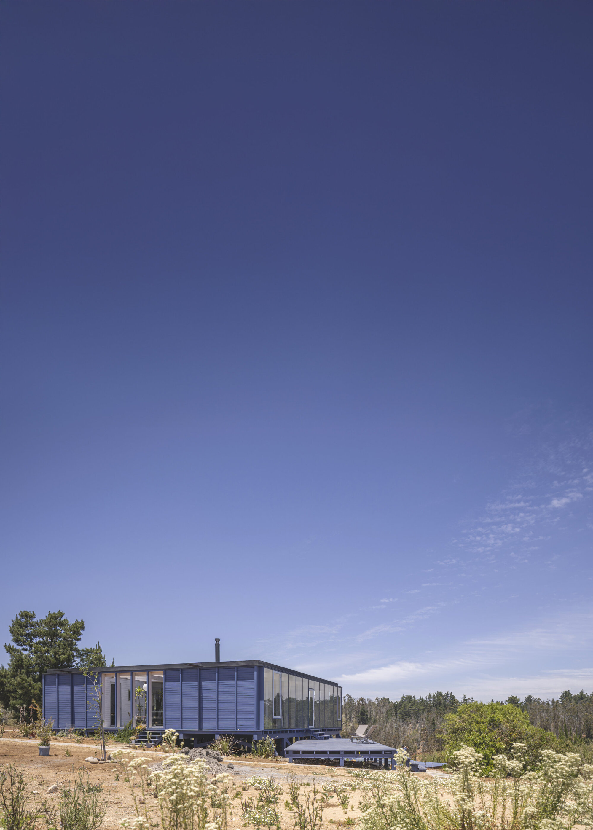 Linear glazed structure elevated on diagonal timber supports in a sandy clearing with scattered vegetation
