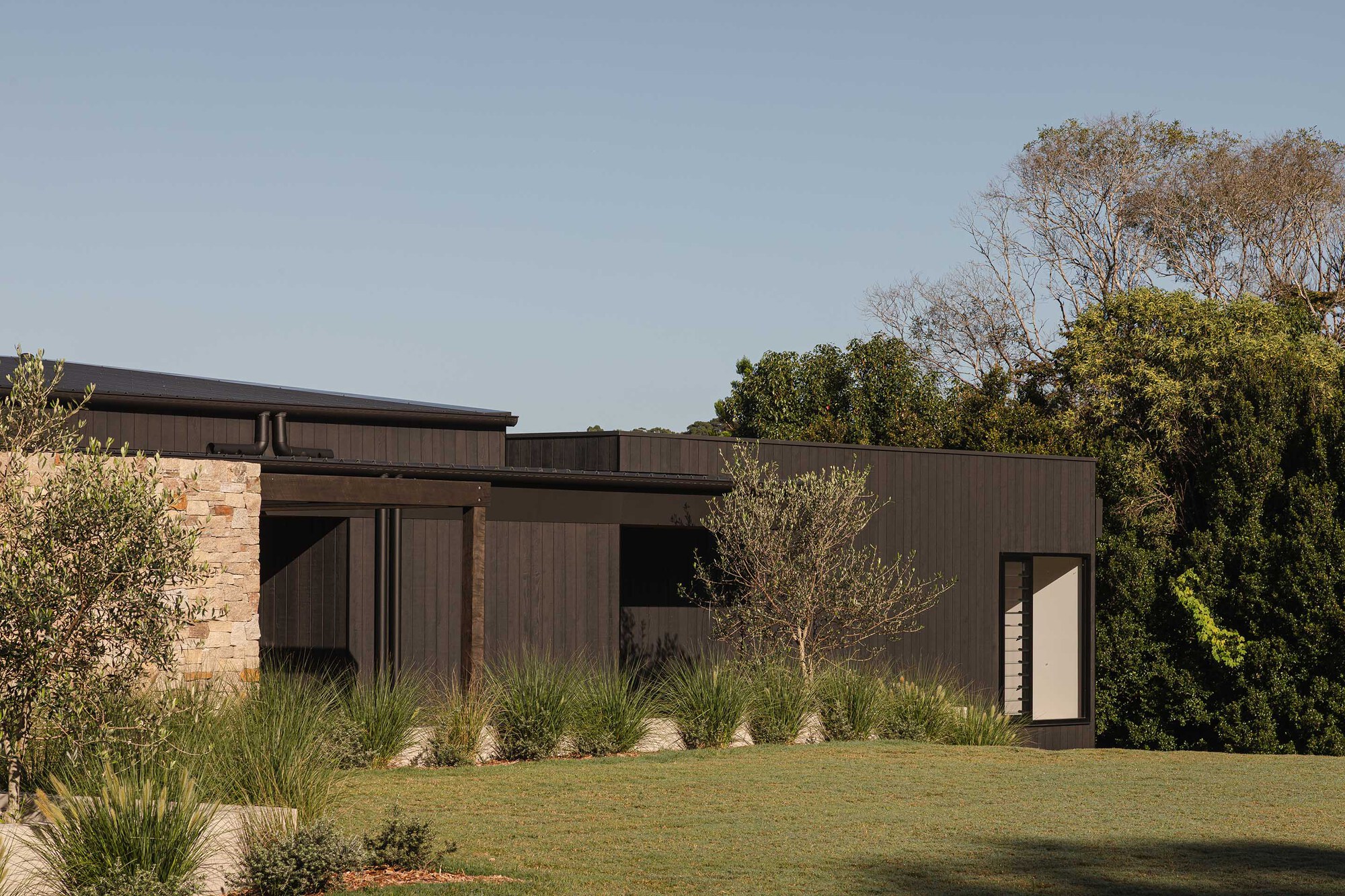 Side facade showing timber-clad volumes and glazed entry framed by native grasses and lawn
