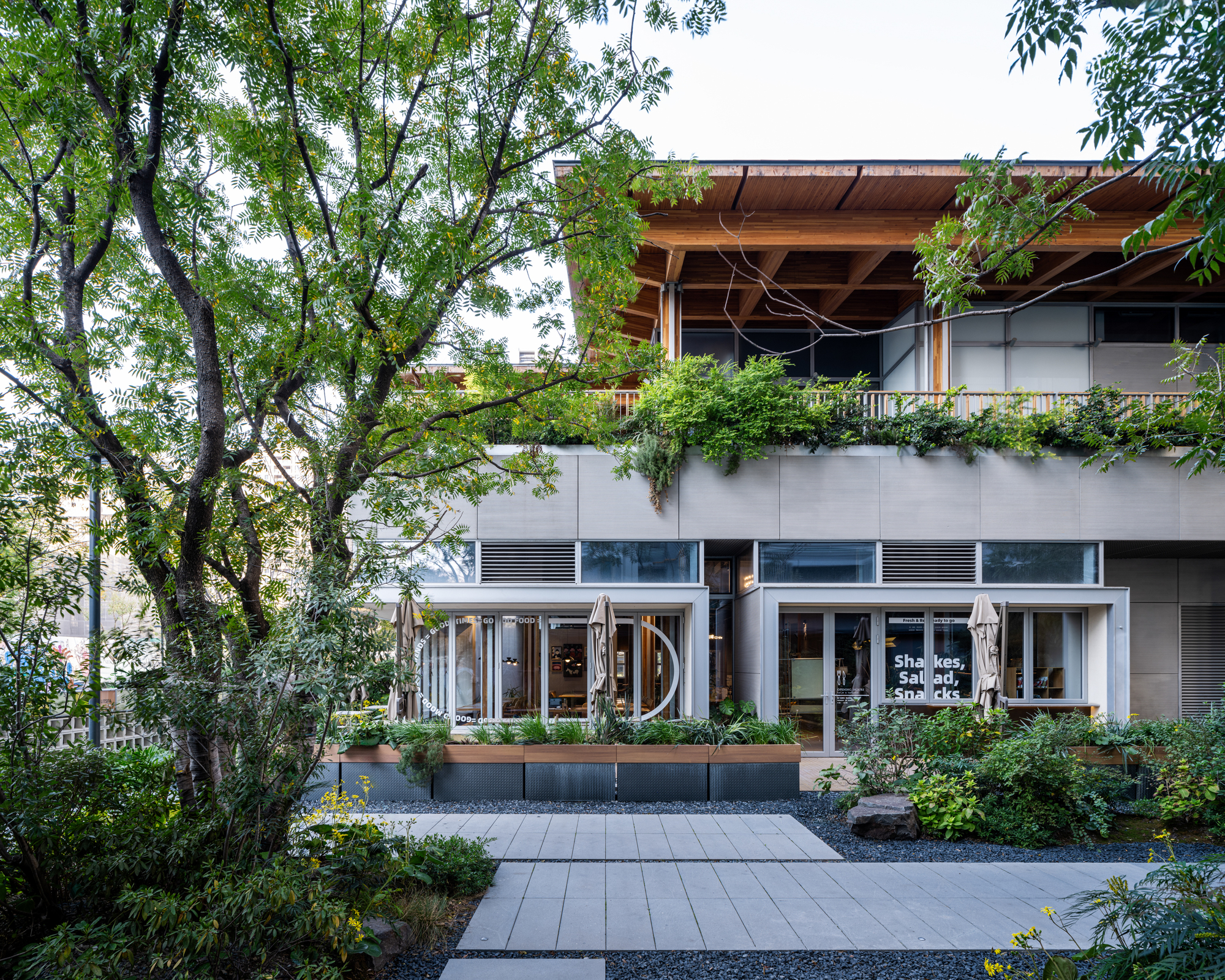 Ground floor facade with storefront glazing and planted terrace above shaded by overhanging timber roof structure