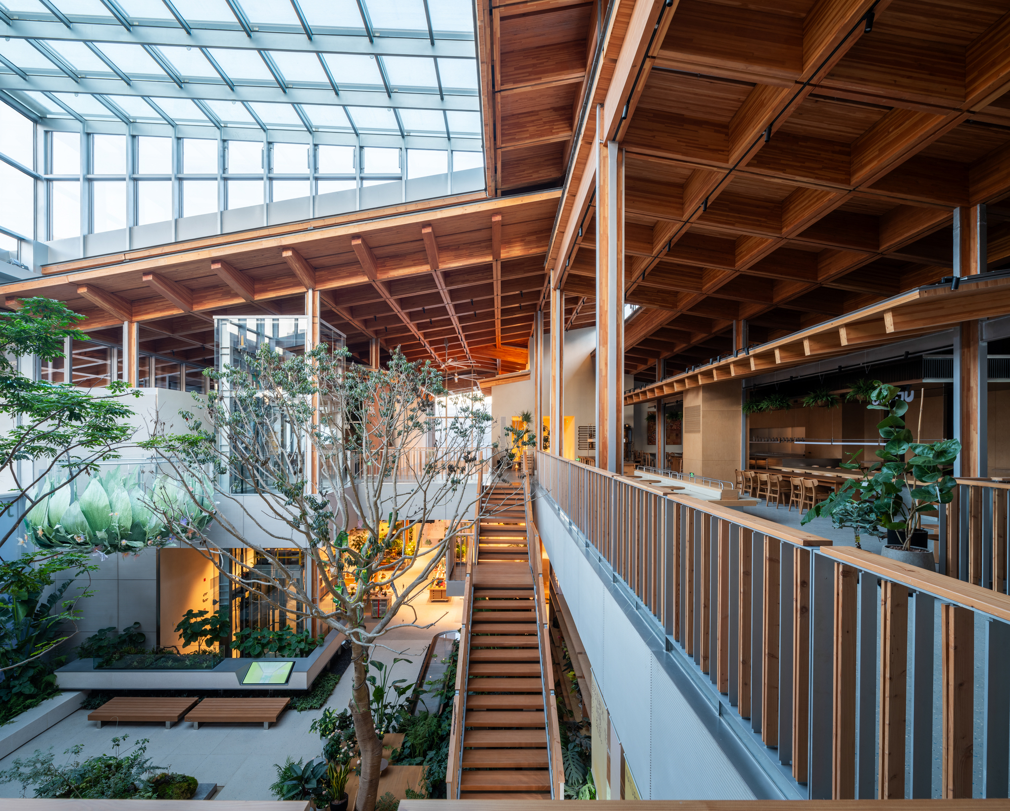 Interior courtyard with timber staircase, planted ground floor, coffered wood ceiling and curved glazed skylight