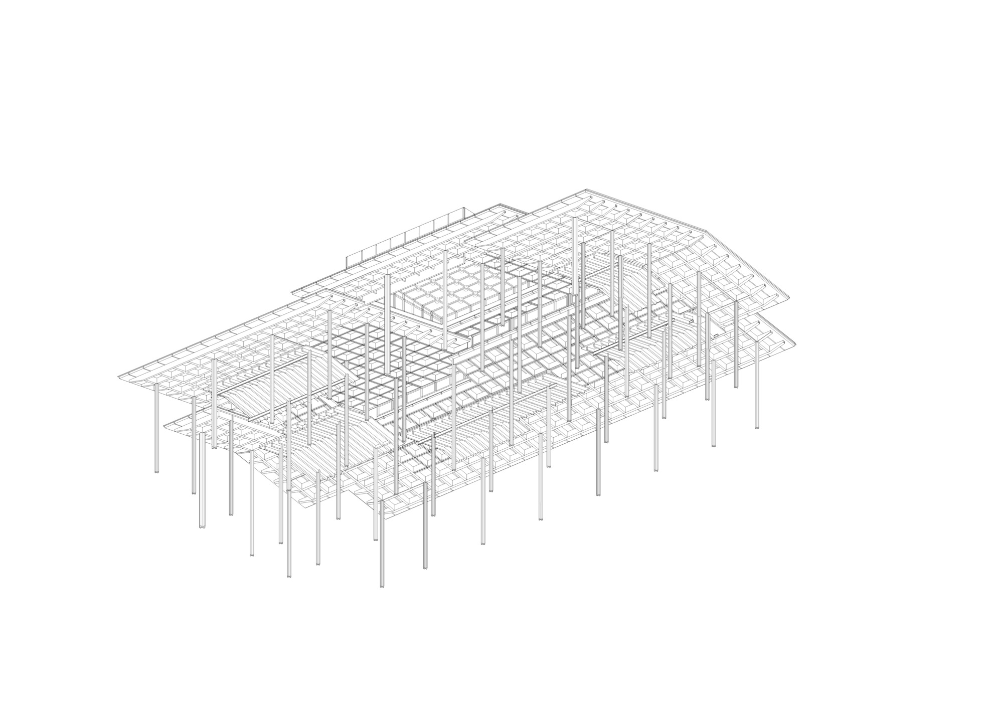 Isometric wireframe drawing revealing the structural grid and column layout supporting the roof