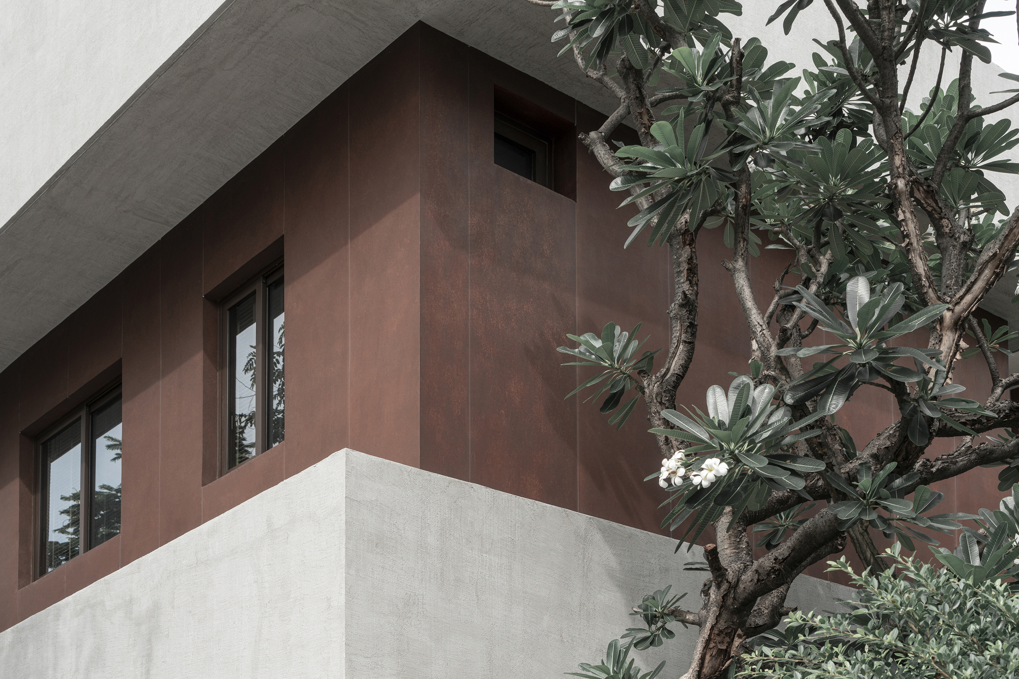 Corner detail showing the copper panel cladding meeting white stucco wall beside a flowering frangipani tree