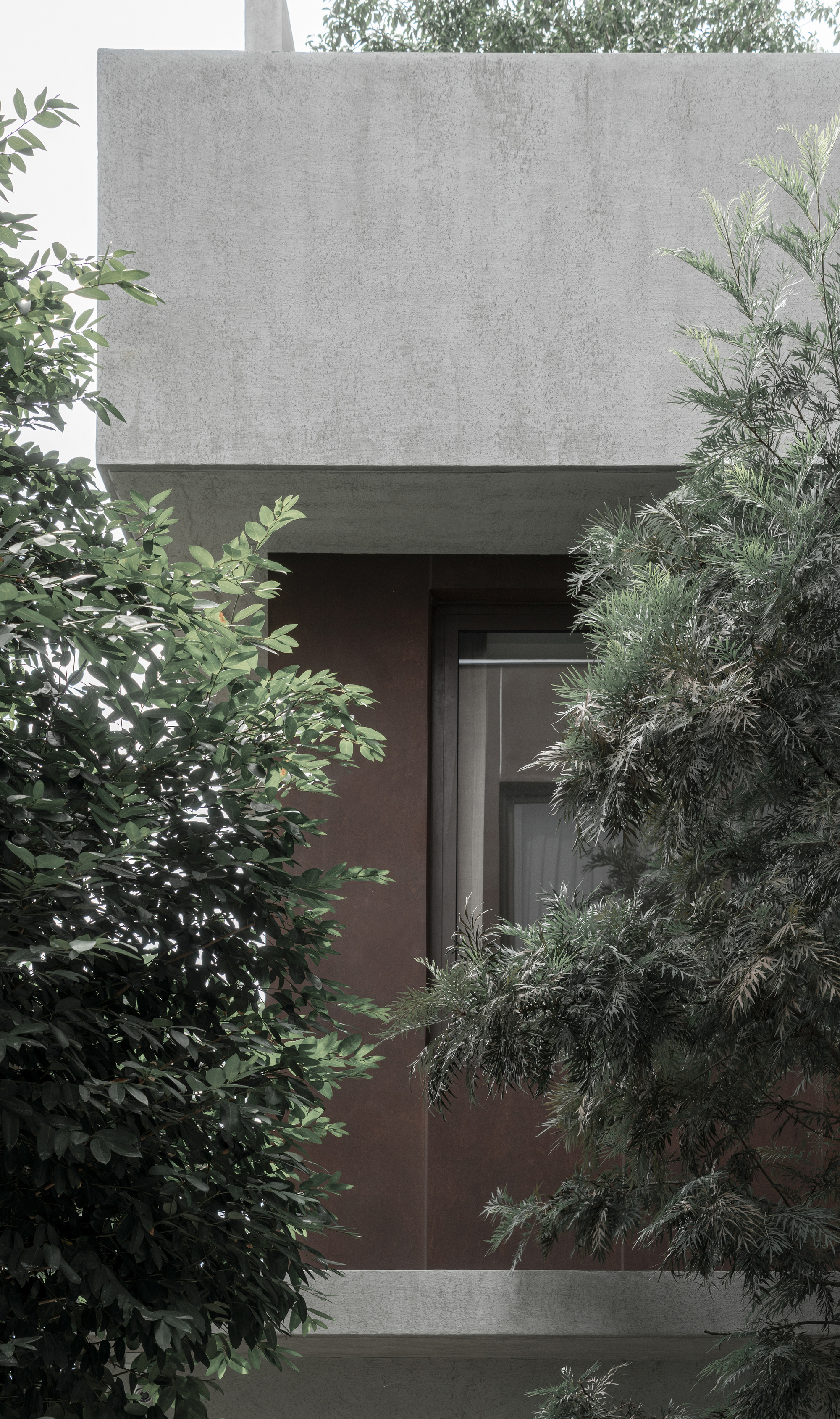 Recessed concrete entrance framed by trees with a dark timber door beneath an overhanging upper volume