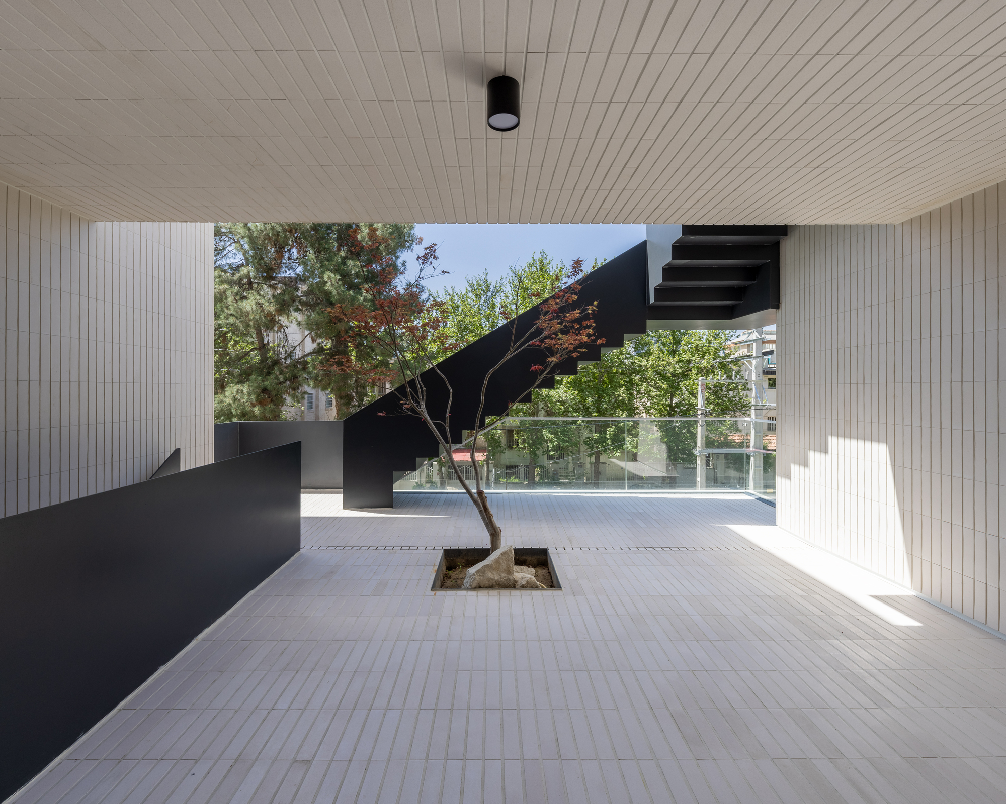 Covered terrace with ribbed timber ceiling and a tree growing through a floor cutout beside black steel stairs