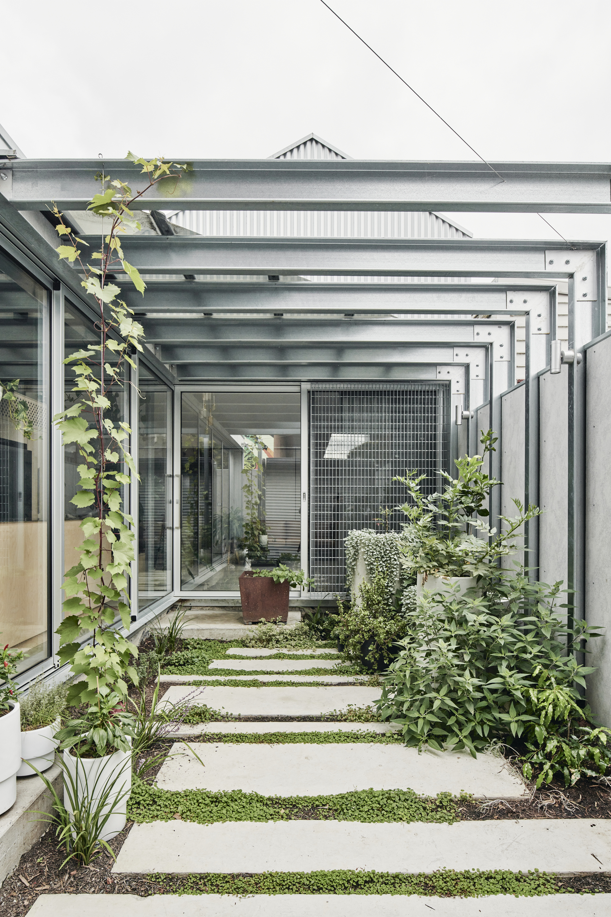Glazed steel pergola sheltering concrete paver pathway with ground cover plantings between slabs