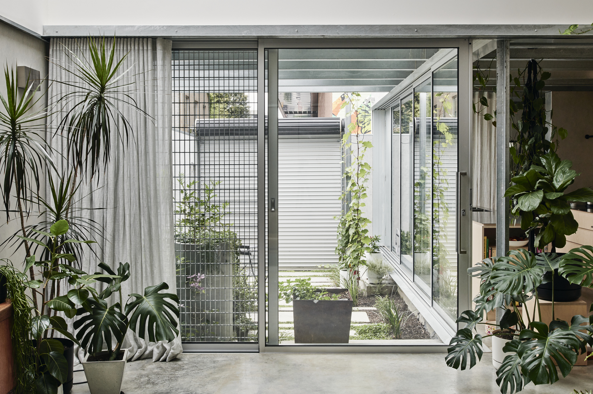 Interior view through glazed doors to a planted courtyard with mesh screens and potted monstera