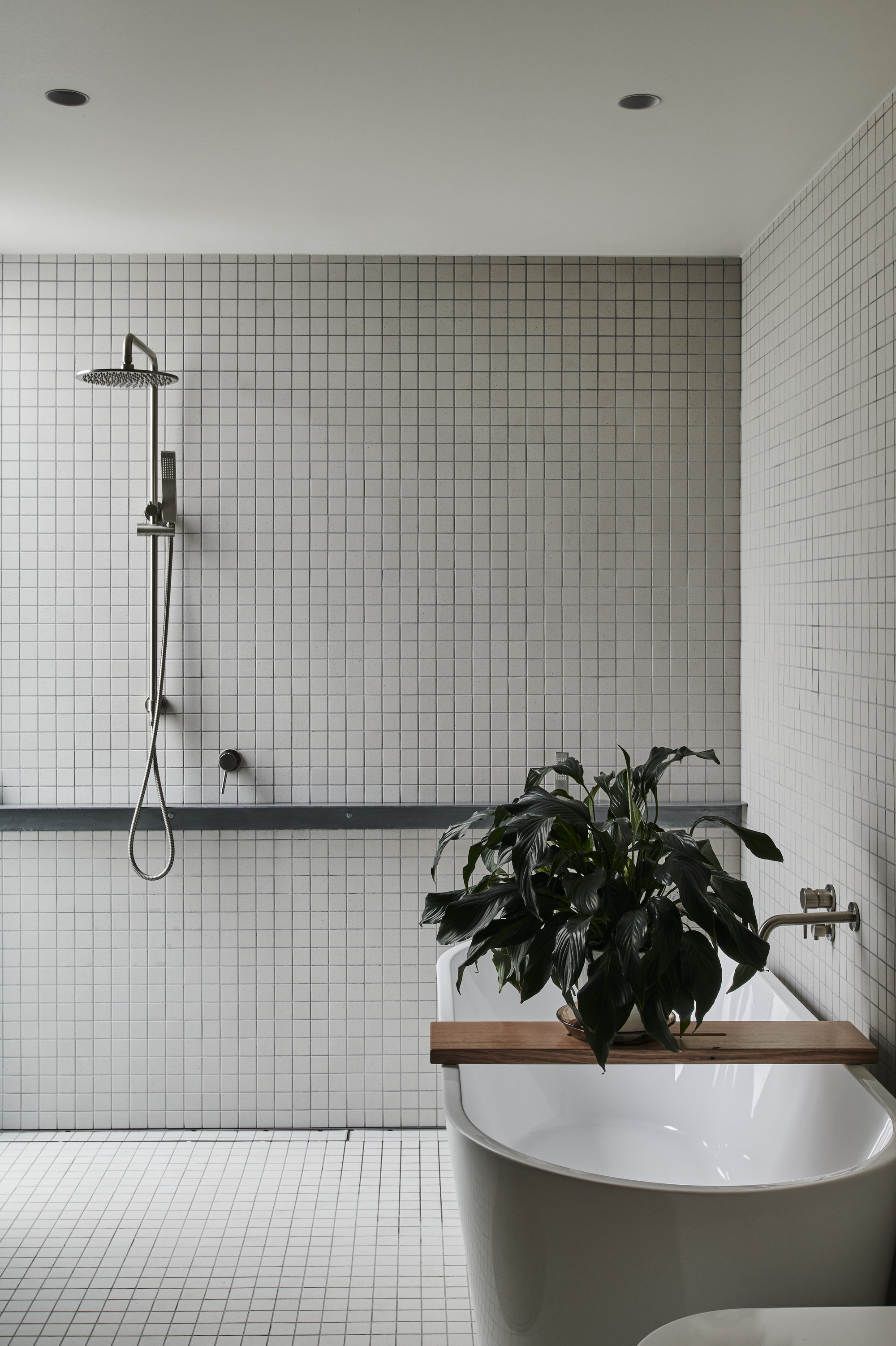 Bathroom with white square mosaic tile walls and a timber shelf supporting a large potted plant
