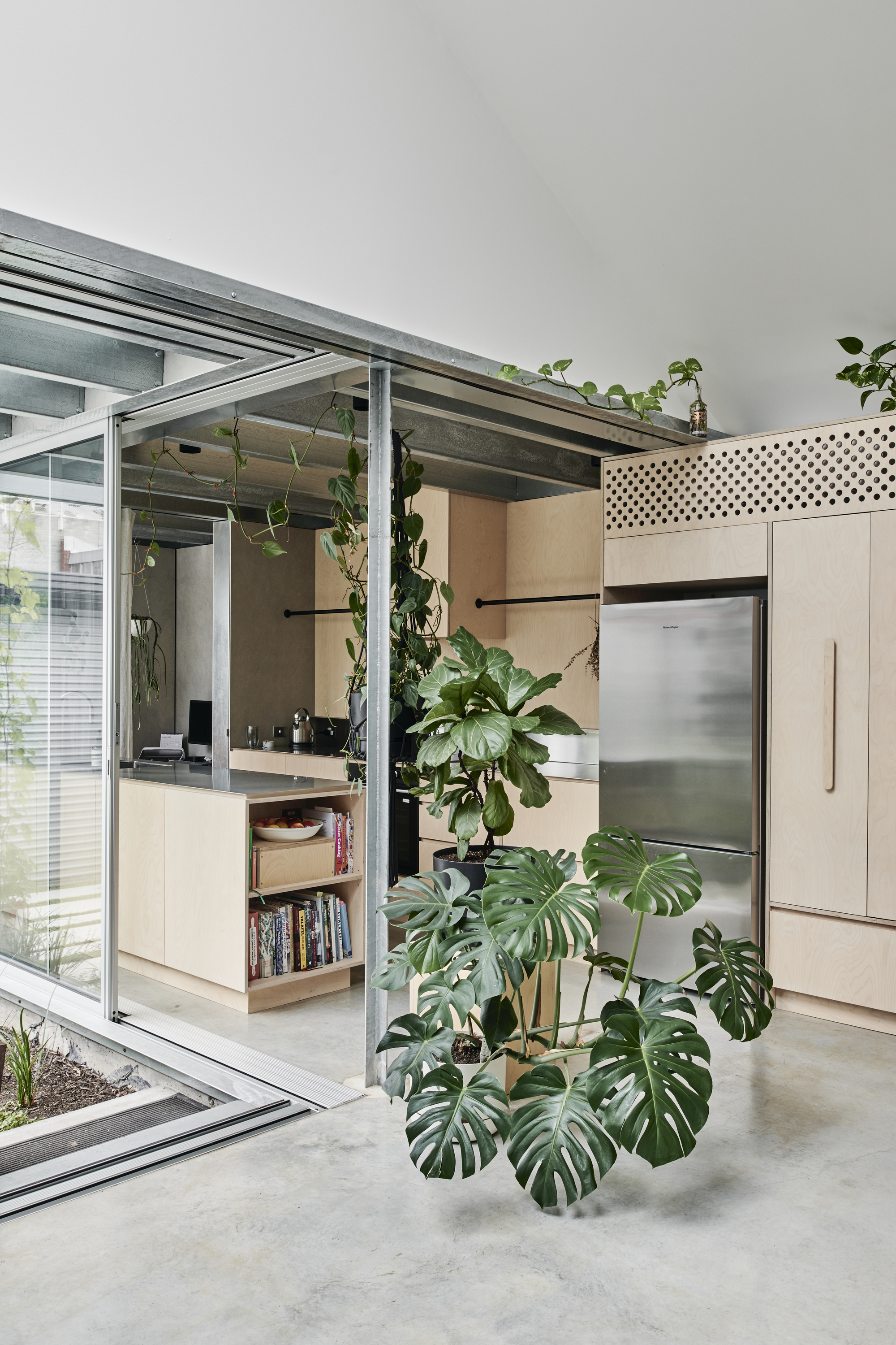 Open kitchen with exposed steel beams and hanging monstera plants beneath a glazed roof structure