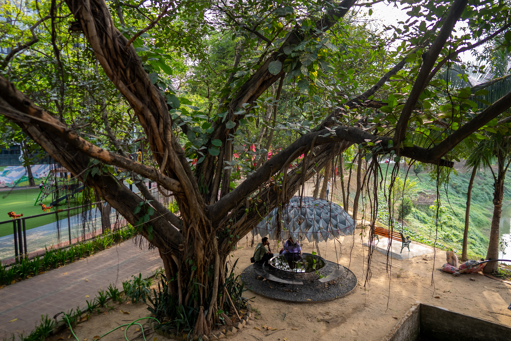 View through sprawling tree branches toward the circular canopy installation on a terraced garden level below