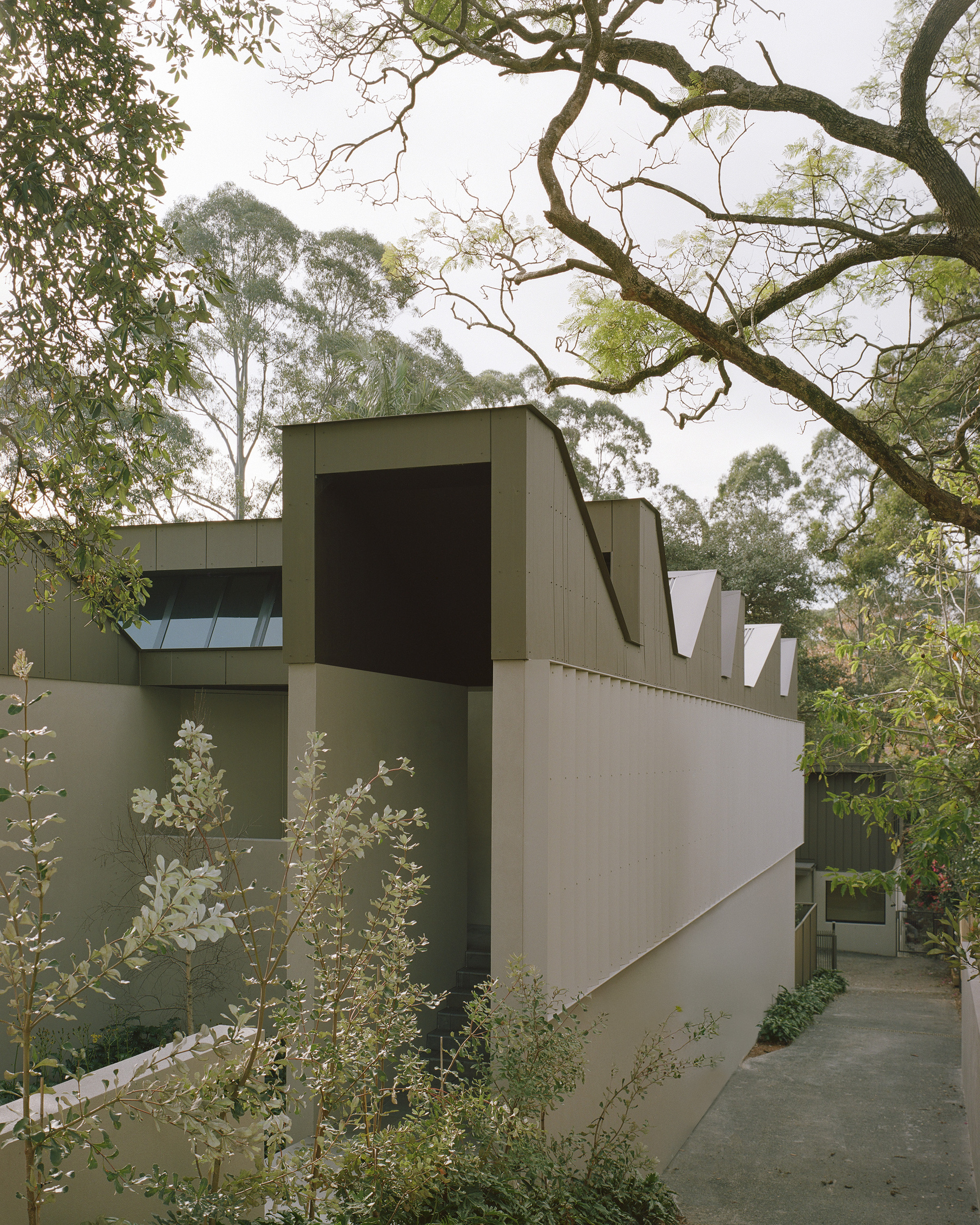 Angled facade showing vertical window slots and white flowering grasses beside the entry path
