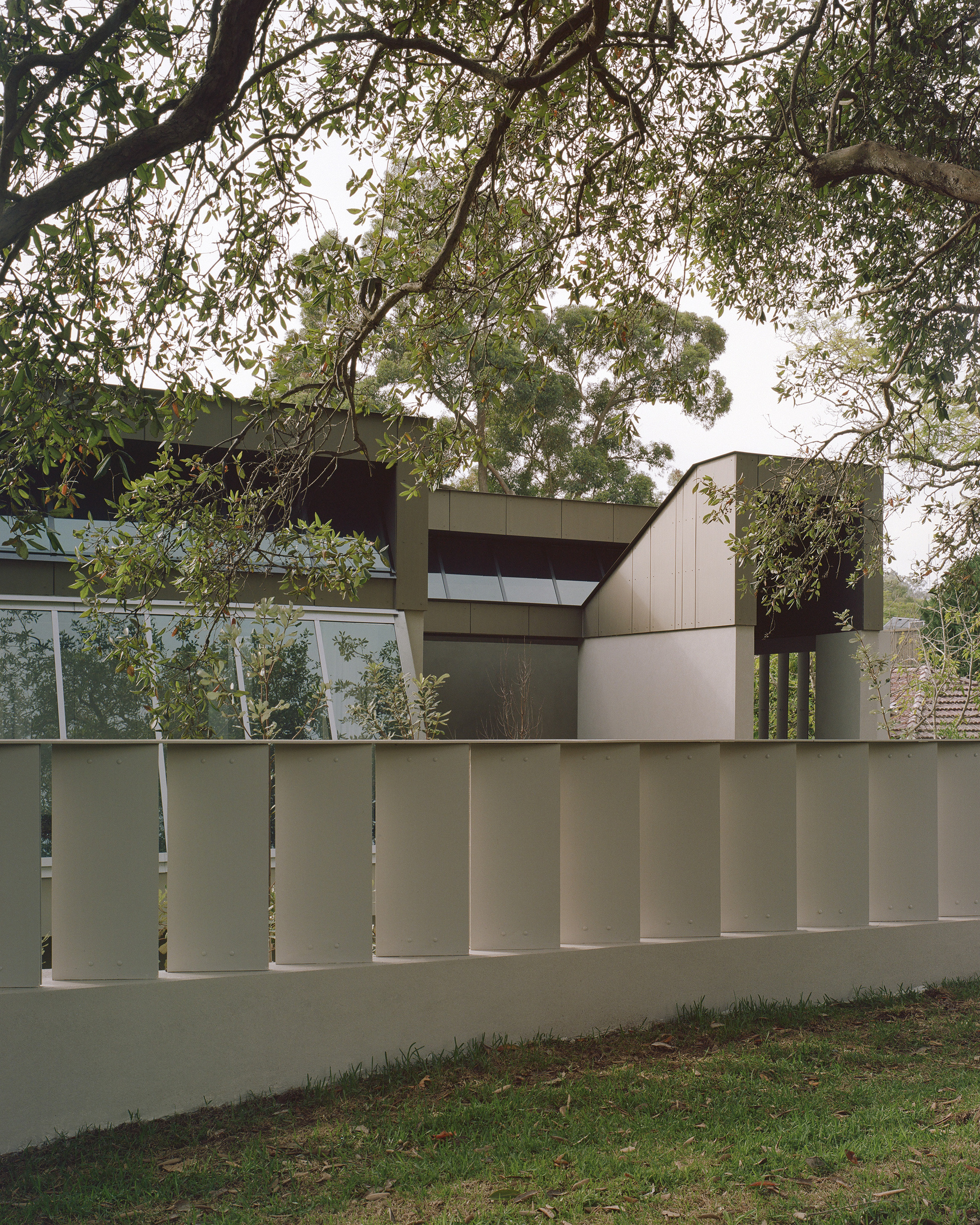 Vertical batten fence screening the residence from the street under mature eucalyptus trees