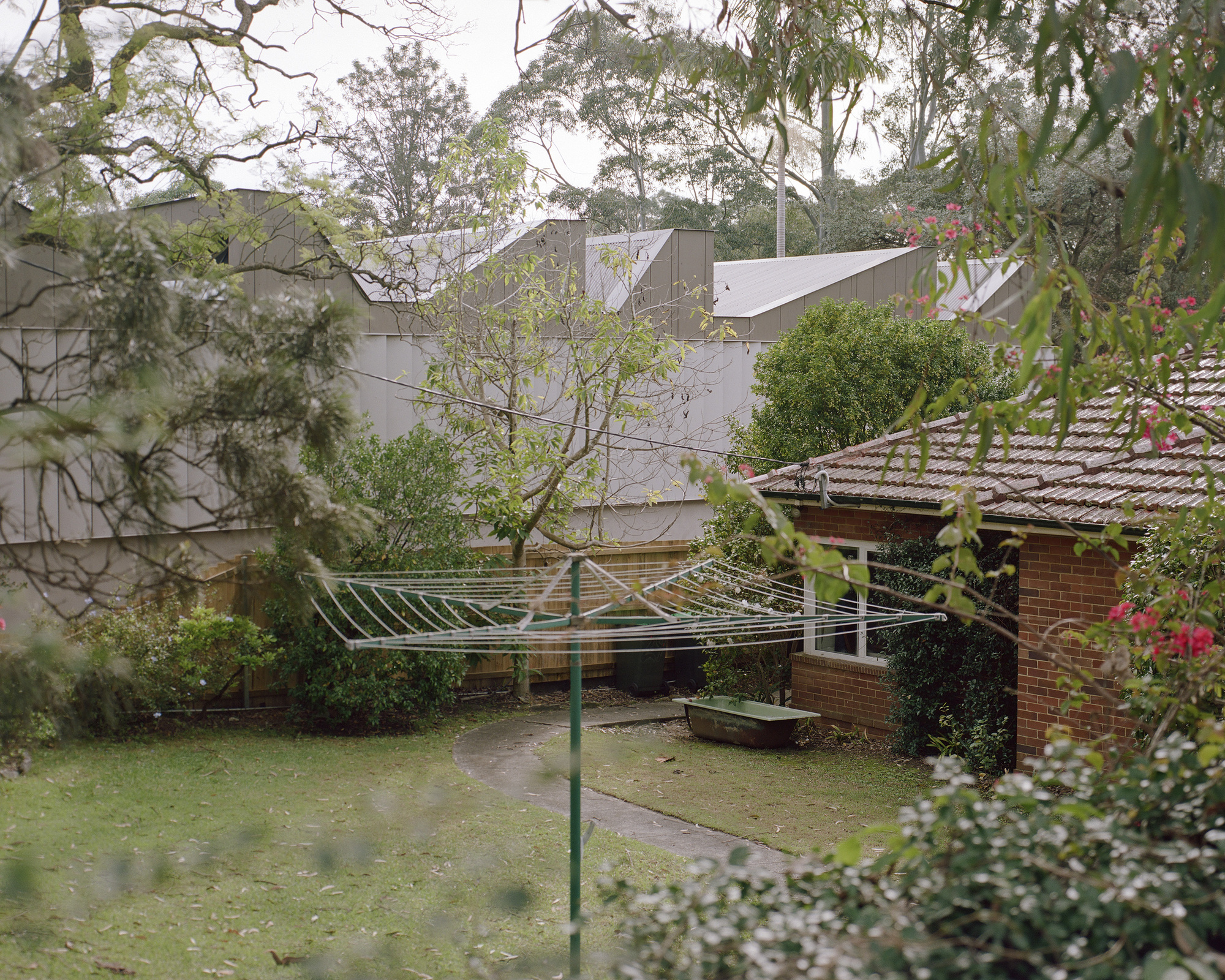 Garden courtyard with brick outbuilding and galvanized clothesline beneath the angled metal roofline
