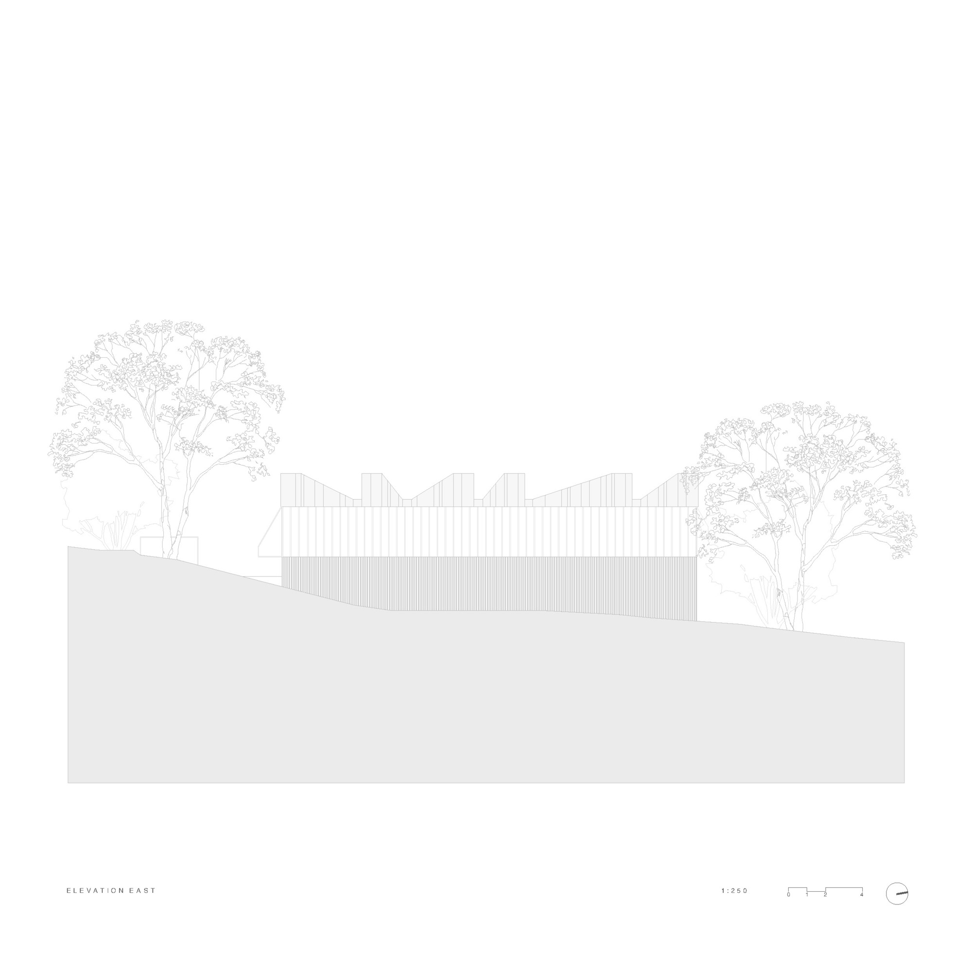 East elevation drawing showing a low-slung vertically clad volume nestled between two mature trees on sloping terrain