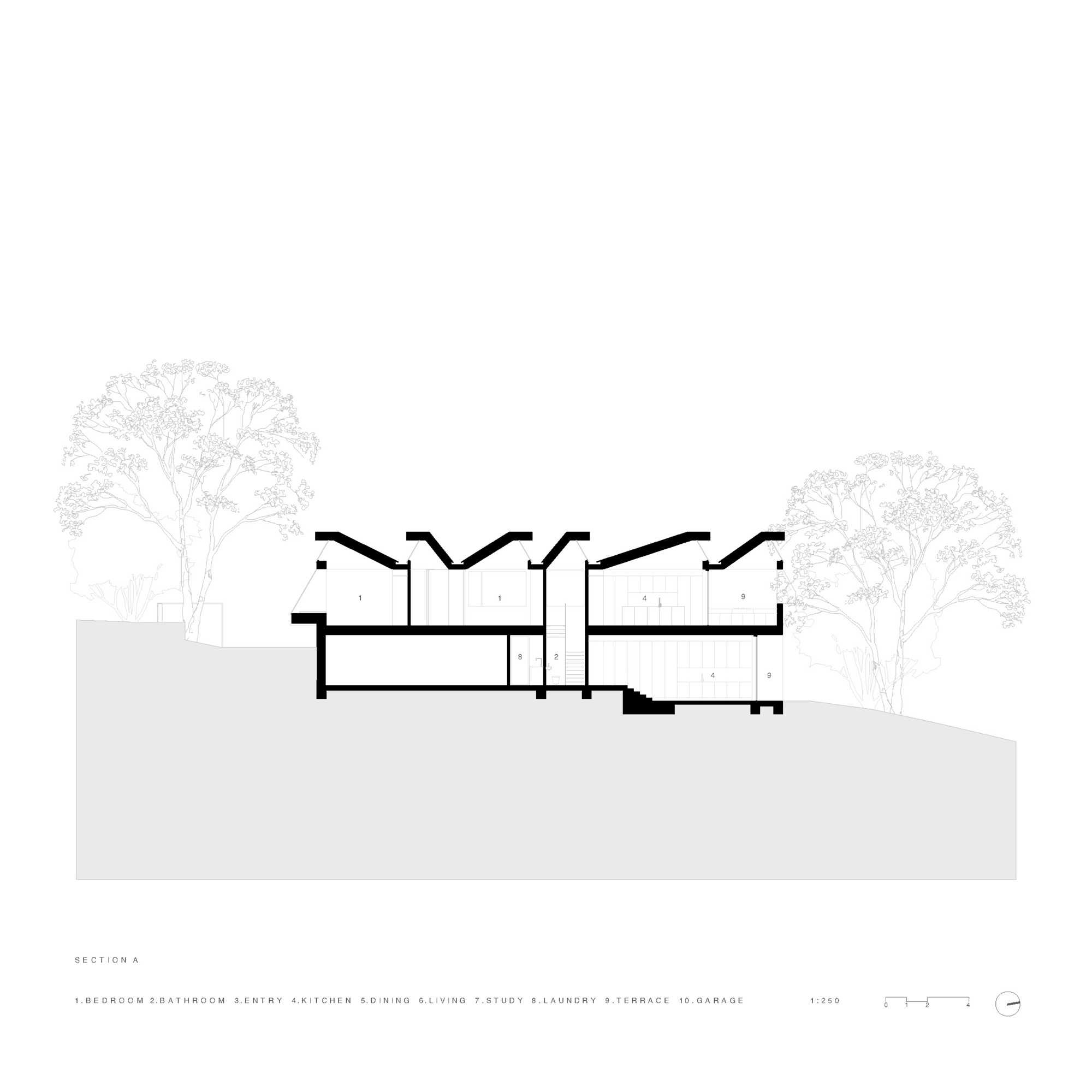 Section drawing revealing twin curved roof shells over interconnected interior spaces with trees flanking the structure