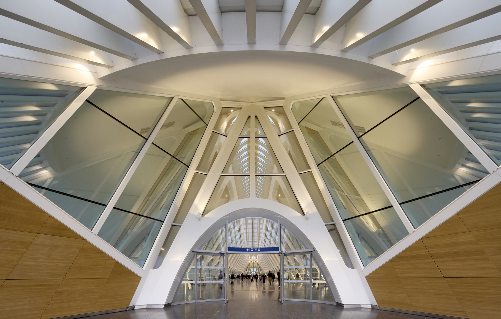 View through the glazed dome structure showing structural ribs converging toward the center
