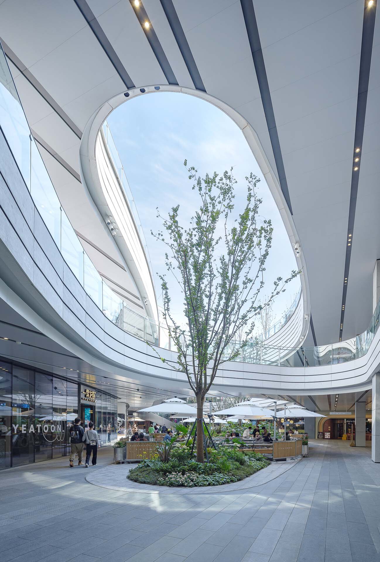 Interior courtyard with oval skylight opening, central tree, dining tables and curved white balcony edges