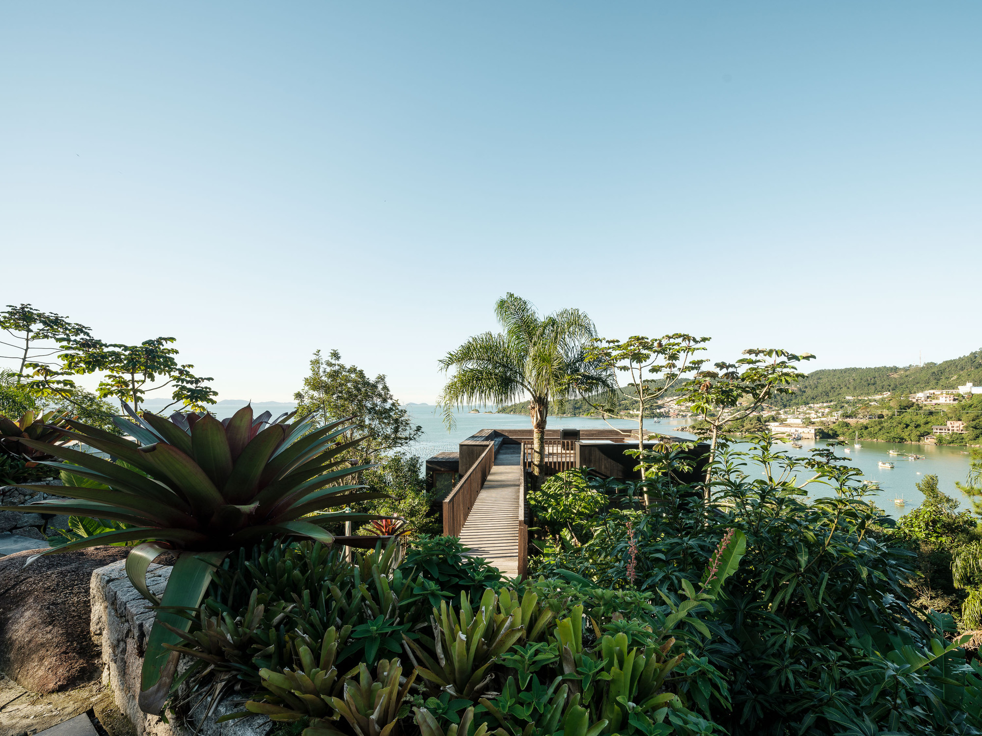 Timber walkway leading through planted slope with agave and palms toward the bay