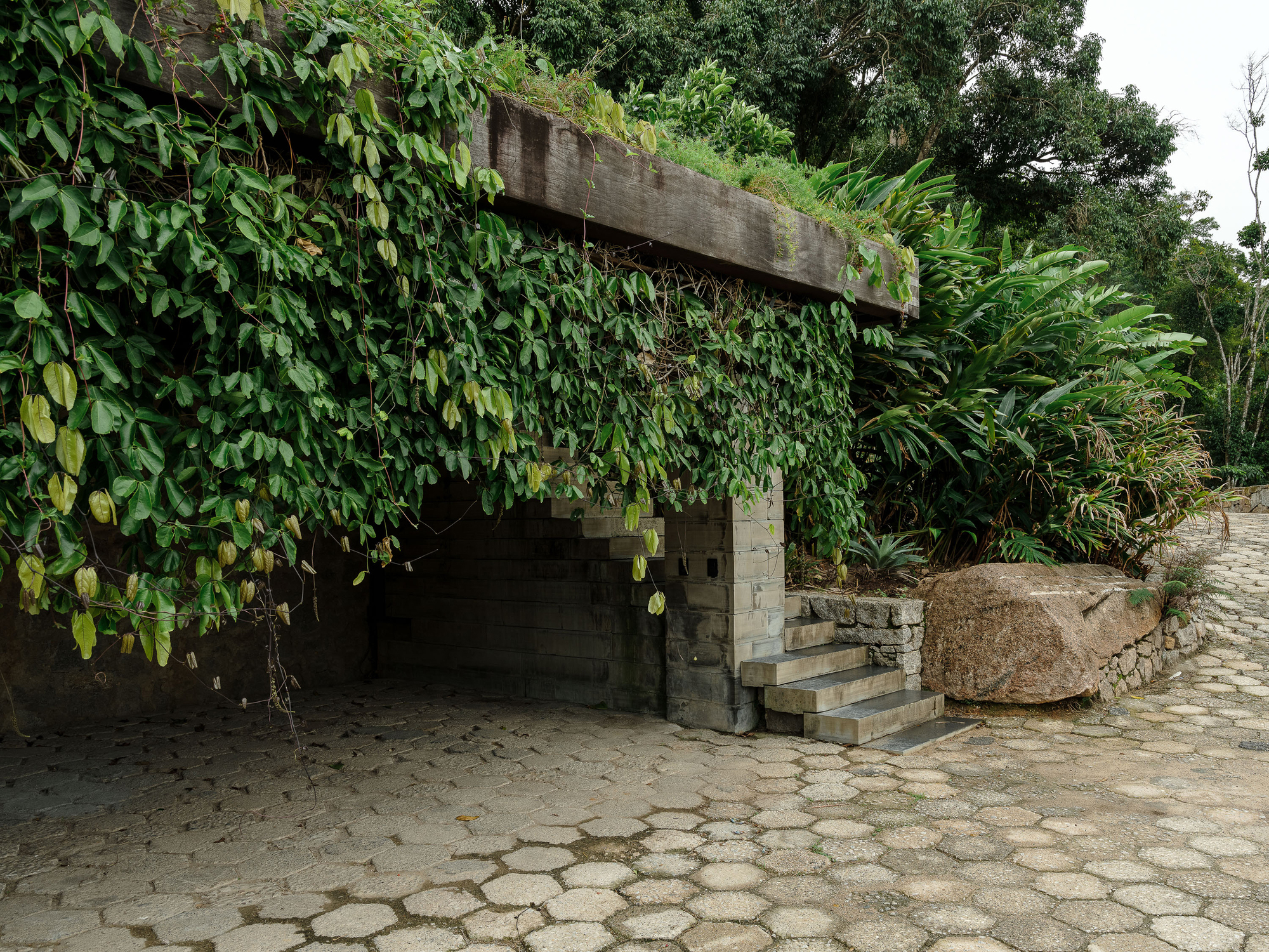 Concrete overhang draped with vines above hexagonal paving stones and a boulder at dusk
