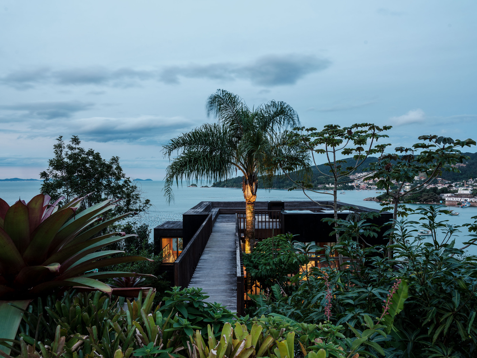 Elevated timber walkway crossing through lush tropical vegetation with palm trees and coastal bay beyond at dusk