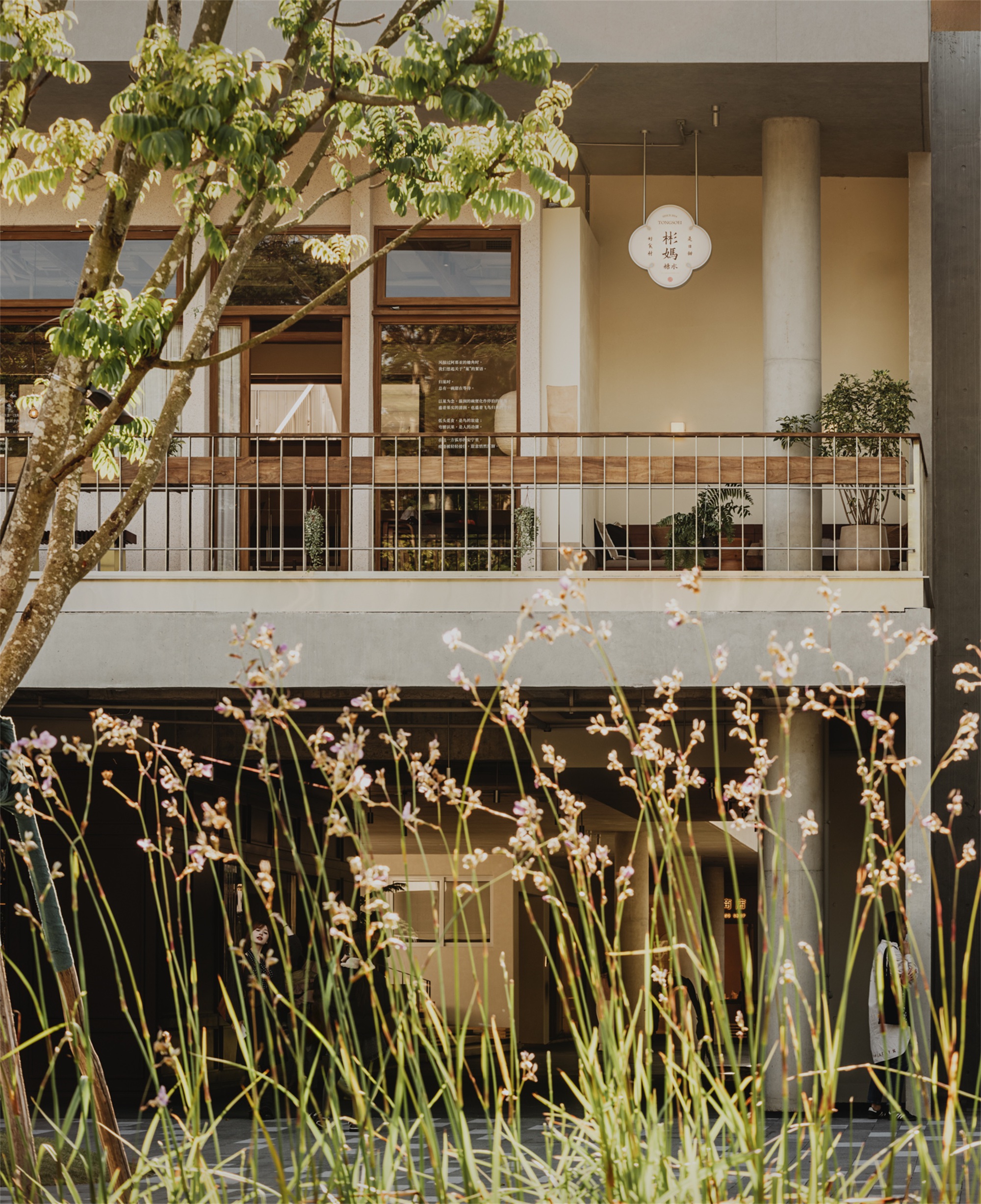 Balcony with metal railing and potted plants framed by flowering grasses in foreground