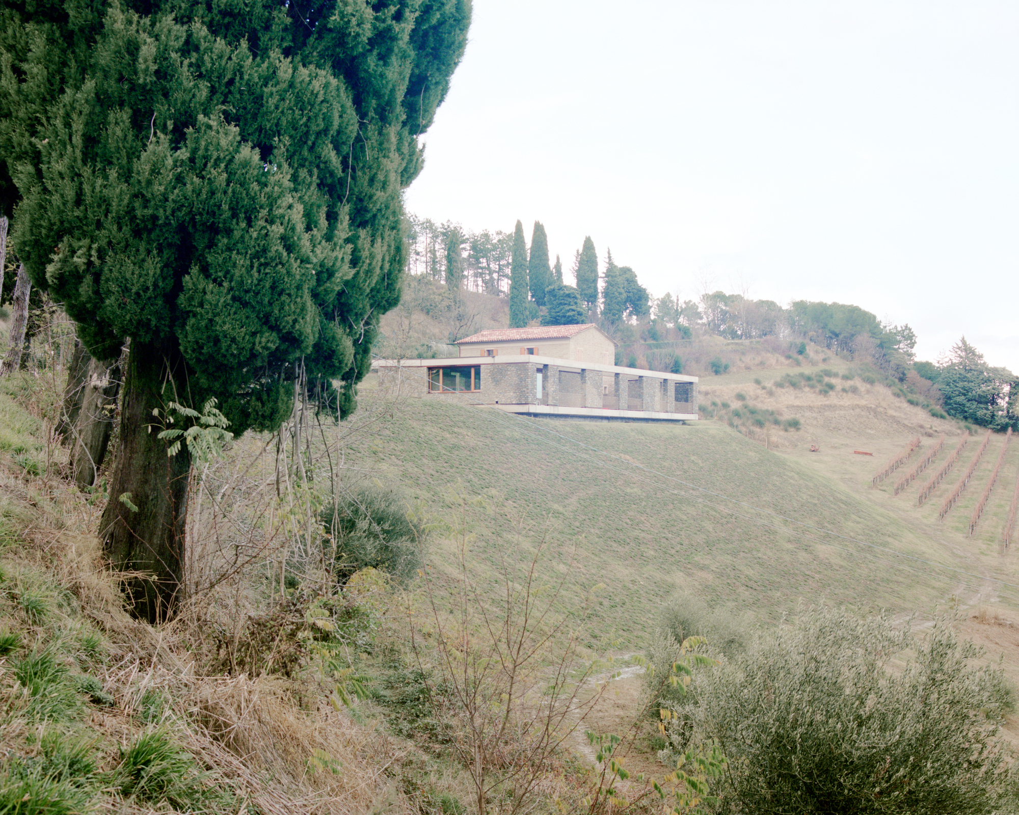 Distant view of the linear volume nestled among rolling hills and cypress trees in winter