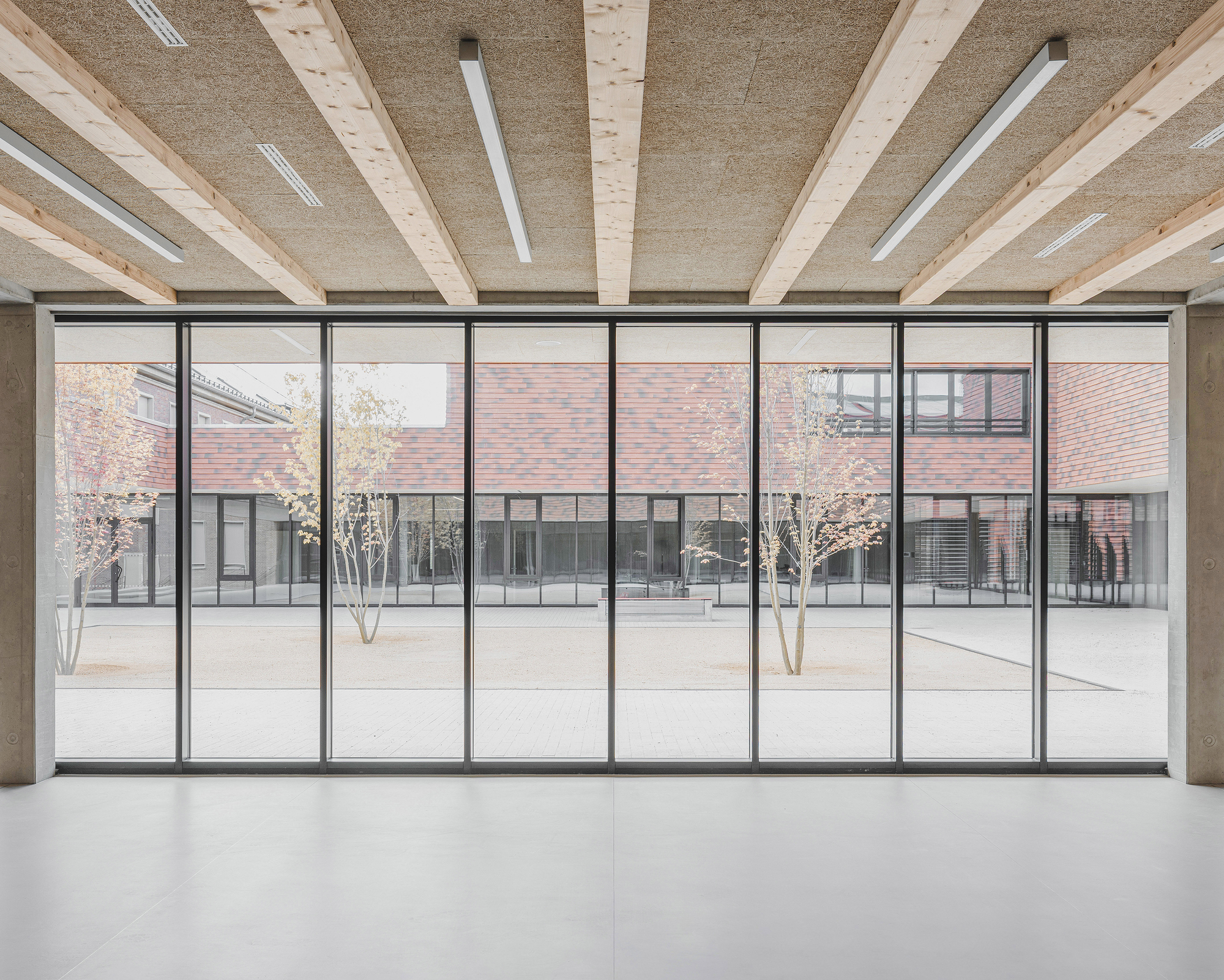 Interior gallery with timber ceiling beams overlooking a courtyard through floor-to-ceiling steel-framed glazing