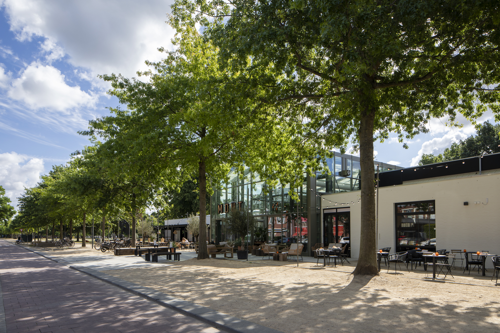 Public plaza with mature trees shading outdoor seating and a glazed pavilion in summer