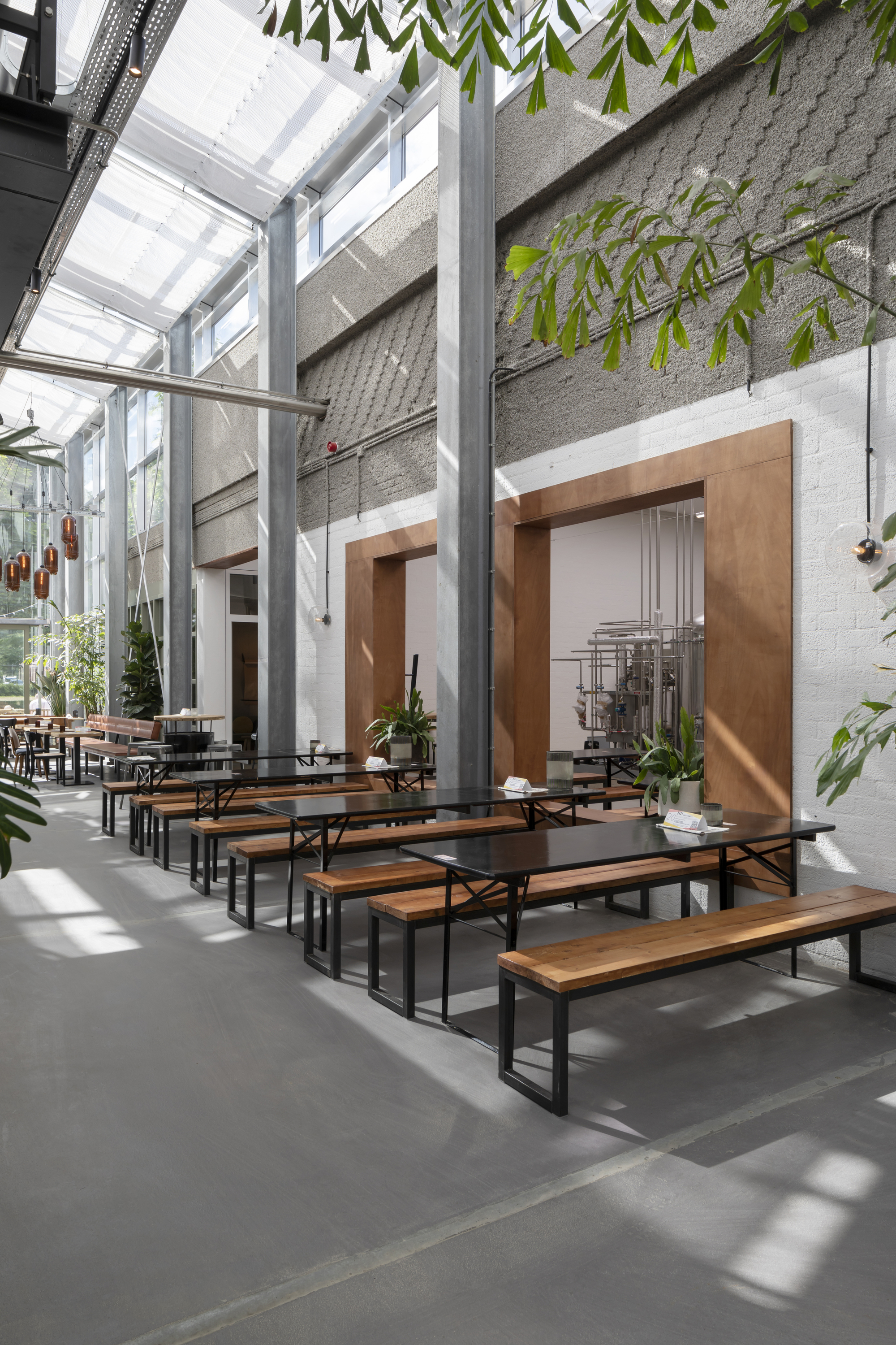 Double-height interior hall with exposed concrete beams, glazed roof, timber benches and hanging foliage