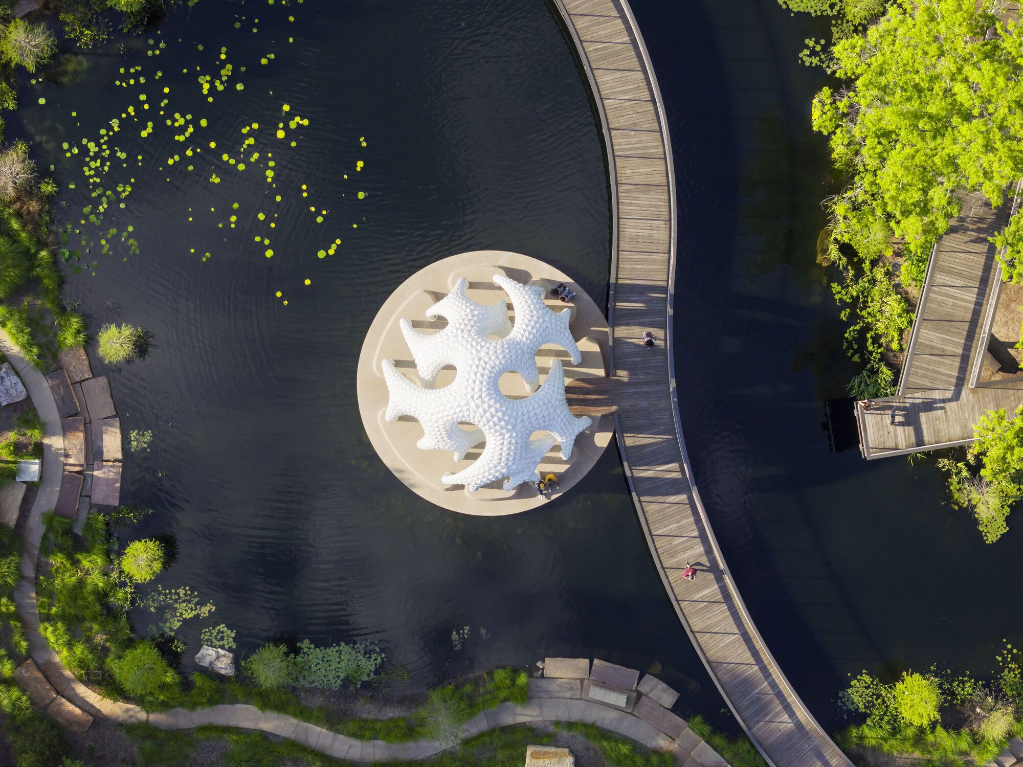 Overhead view of circular pavilion floating in dark pond with lily pads and curving timber walkway