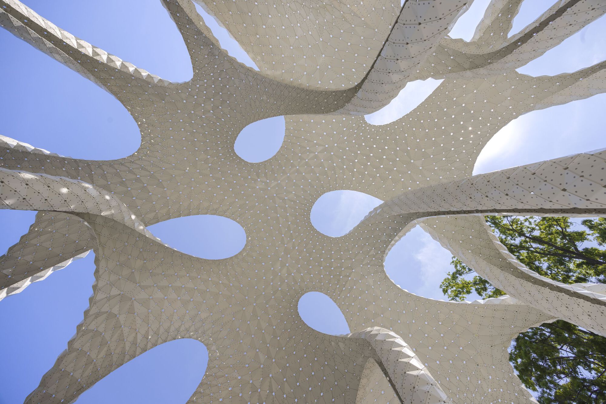 Upward view of the perforated roof canopy with lobed openings framing blue sky and treetops